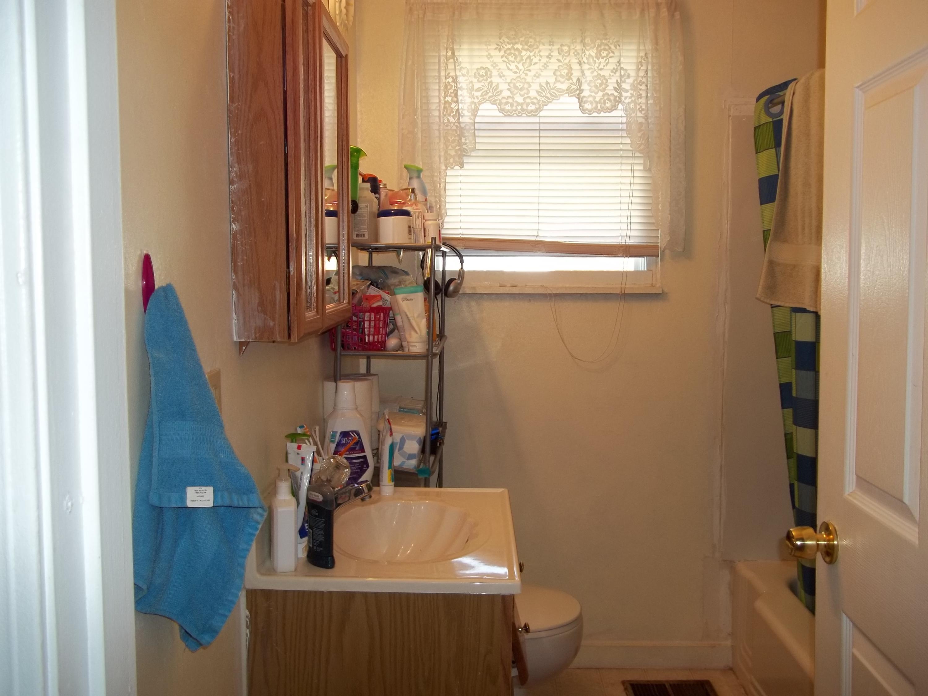 852 Brewster Road Alcoa, TN 37701 - Photo 9 of 17 Guest bath