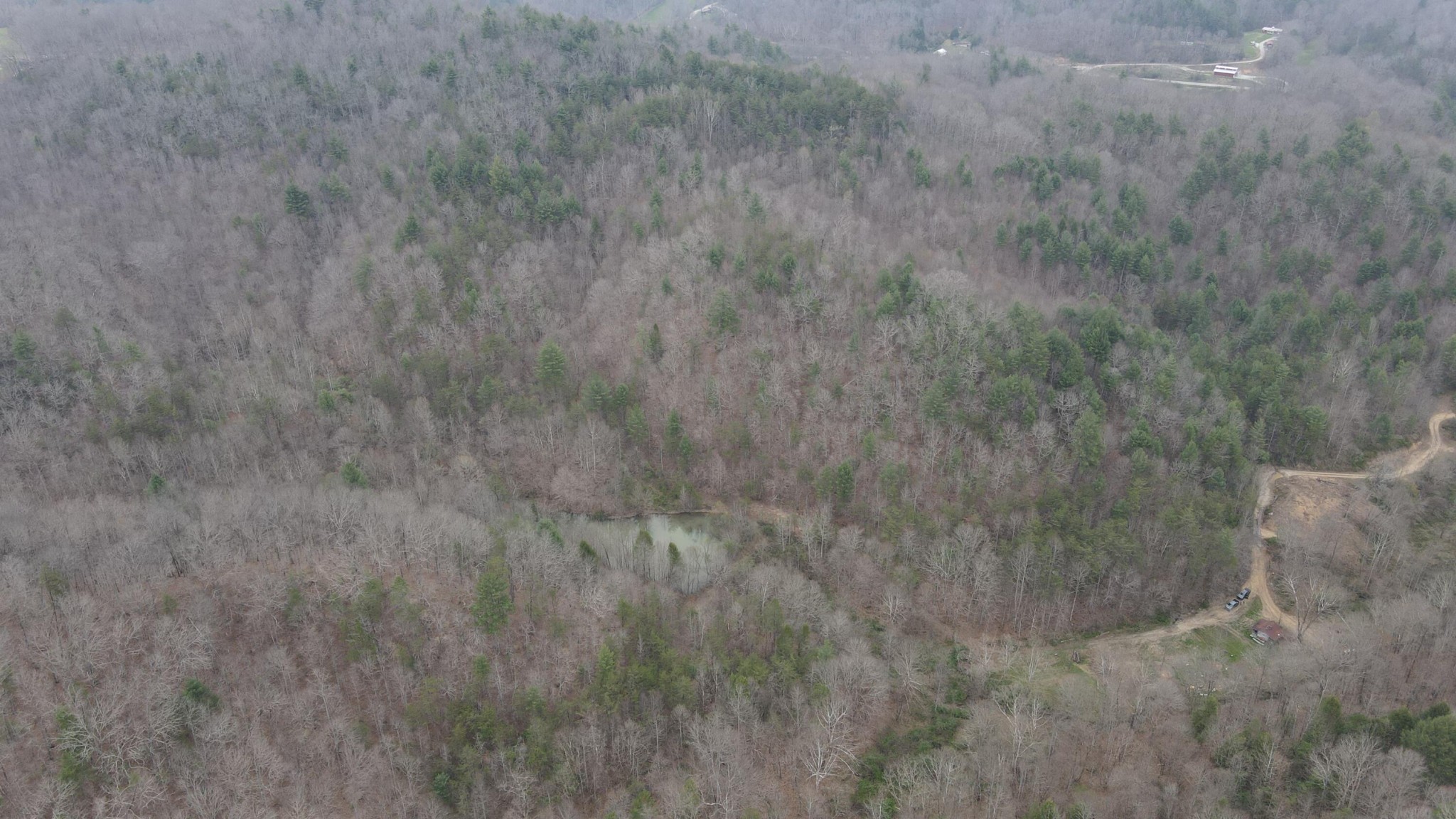 899 Morning Glory Road Oneida, TN 37841 - Photo 12 of 27