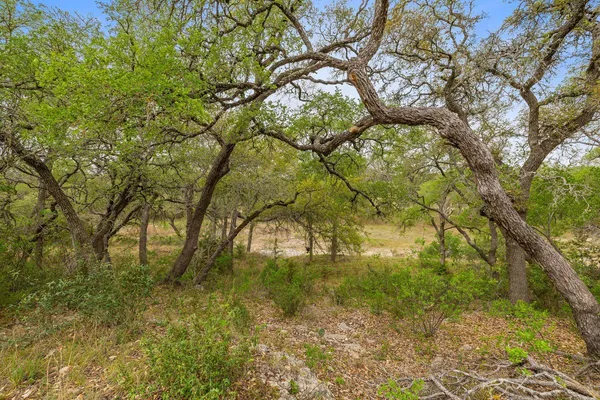 $945,000 | 744 Bartlett Drive West, Buda, TX 78610