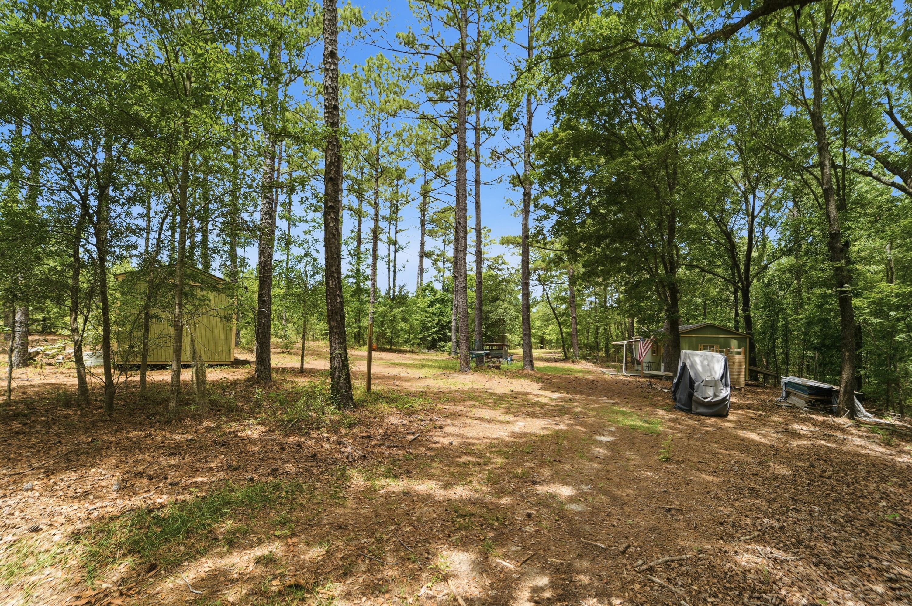 1530 Catfish Lane Manning, SC 29102 - Photo 12 of 37 wooded lot