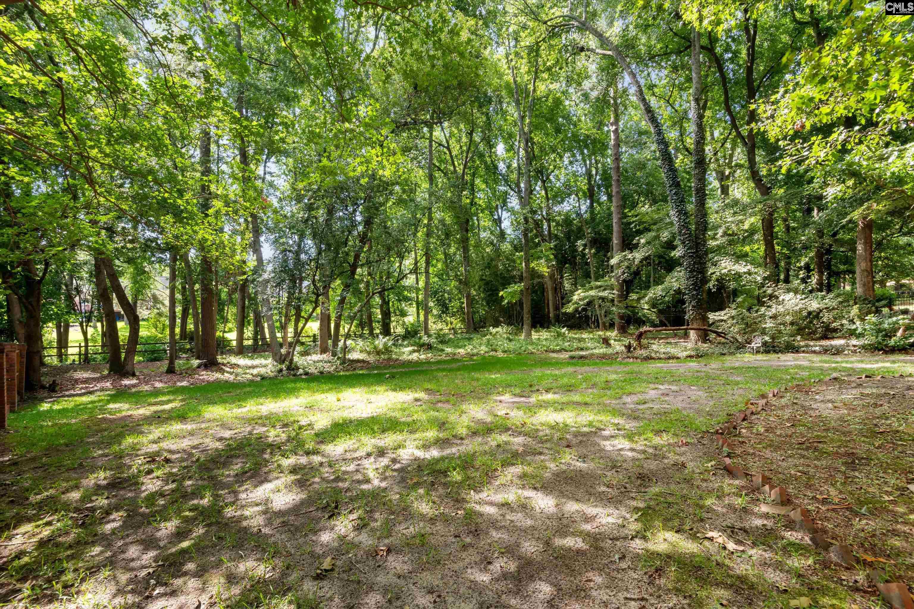 108 Fishers Shore Road Columbia, SC 29223 - Photo 42 of 44
