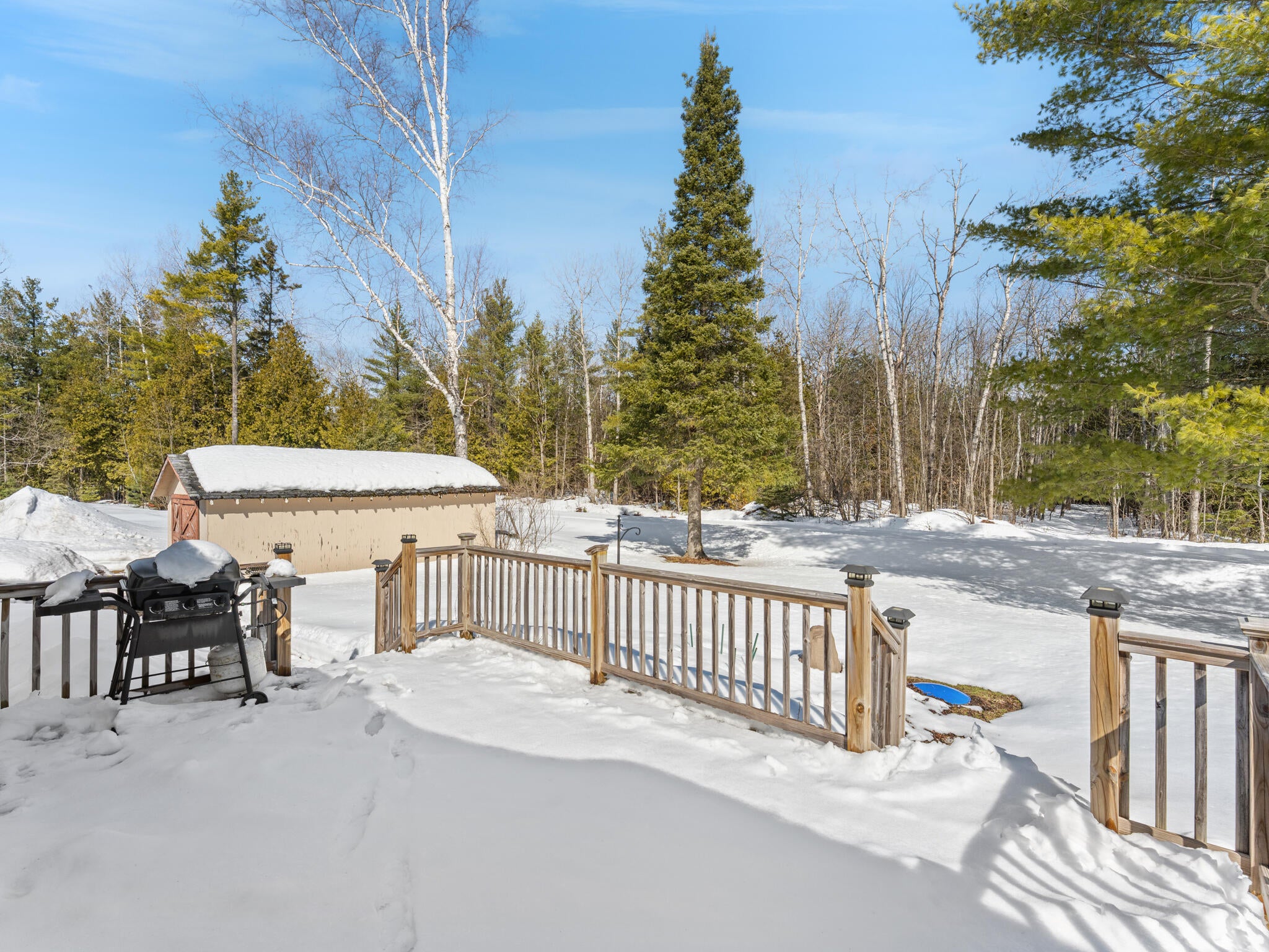 4465 Truckey Road Alpena, MI 49707 - Photo 21 of 30 Backyard