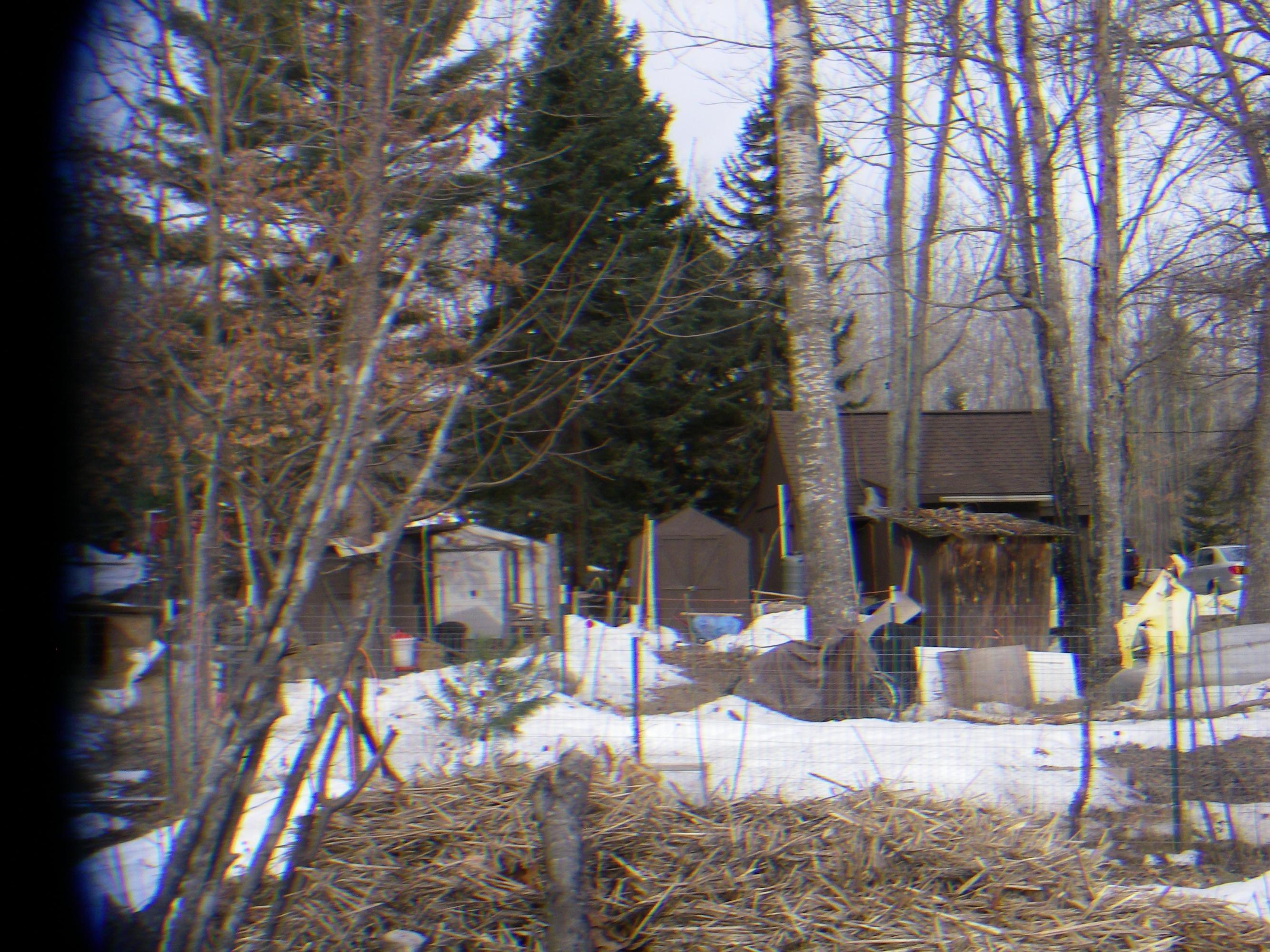 3825 Chase Bridge Road Grayling, MI 49738 - Photo 17 of 21 Gallery Image 17