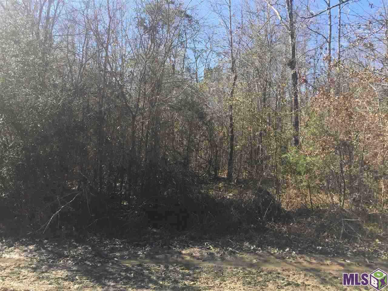 A-3 South Frost Road Livingston, LA 70754 - Photo 1 of 1 Gallery Image 1