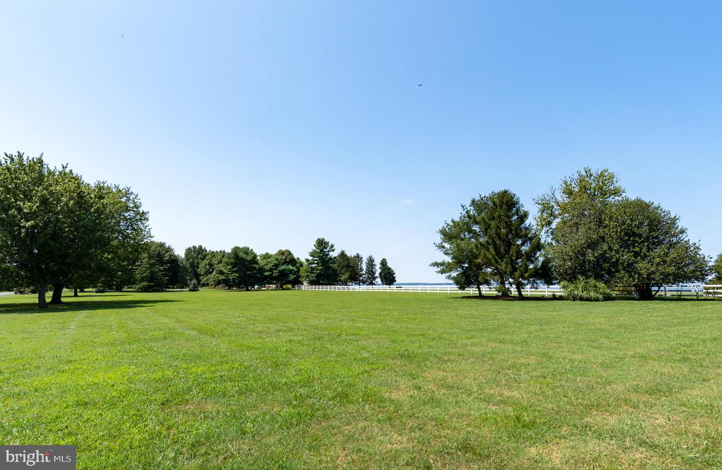 3204 Bennett Point Road Queenstown, MD 21658 - Photo 8 of 54 Verdant 5.54 Acres with Lofty Shade Trees