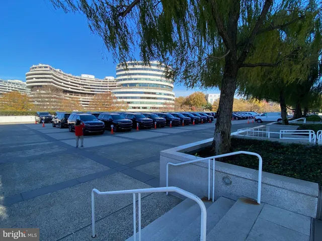 a picture of flowers