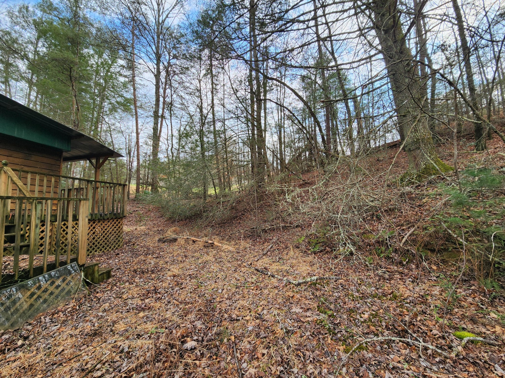 460 Tallent Road Copperhill, TN 37317 - Photo 37 of 52 Gallery Image 37