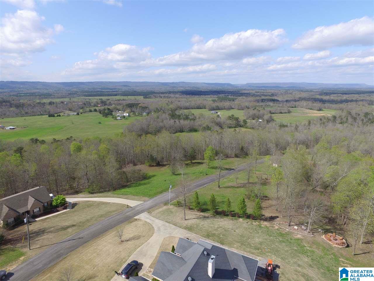 414 Stone Ridge, Unit 5 AND 6 Springville, AL 35146 - Photo 8 of 20