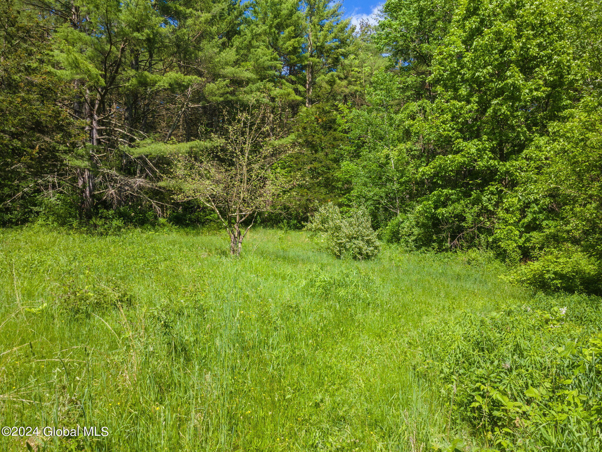 2136 Huntersland Road Middleburgh, NY 12122 - Photo 54 of 61 60-web-or-mls-2136HunterslandRd_60