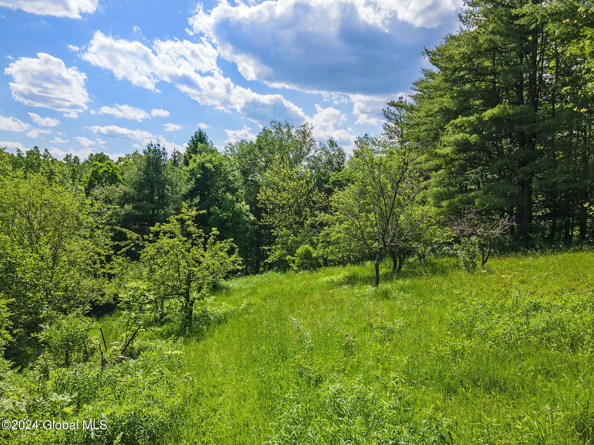 2136 Huntersland Road Middleburgh, NY 12122 - Photo 55 of 61 61-web-or-mls-2136HunterslandRd_61