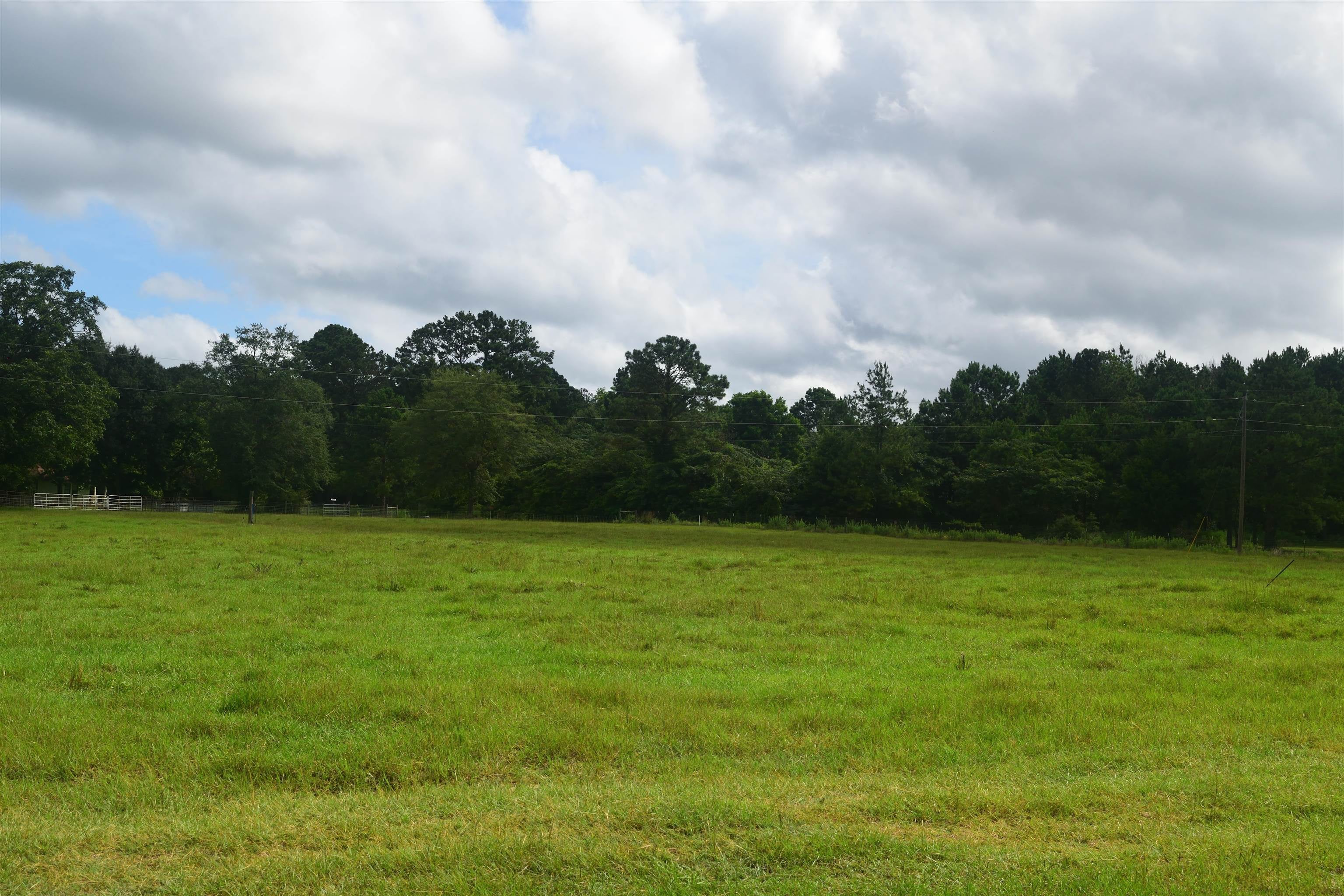 22535 Rosin Ridge Road Red Level, AL 36474 - Photo 40 of 46 Gallery Image 40