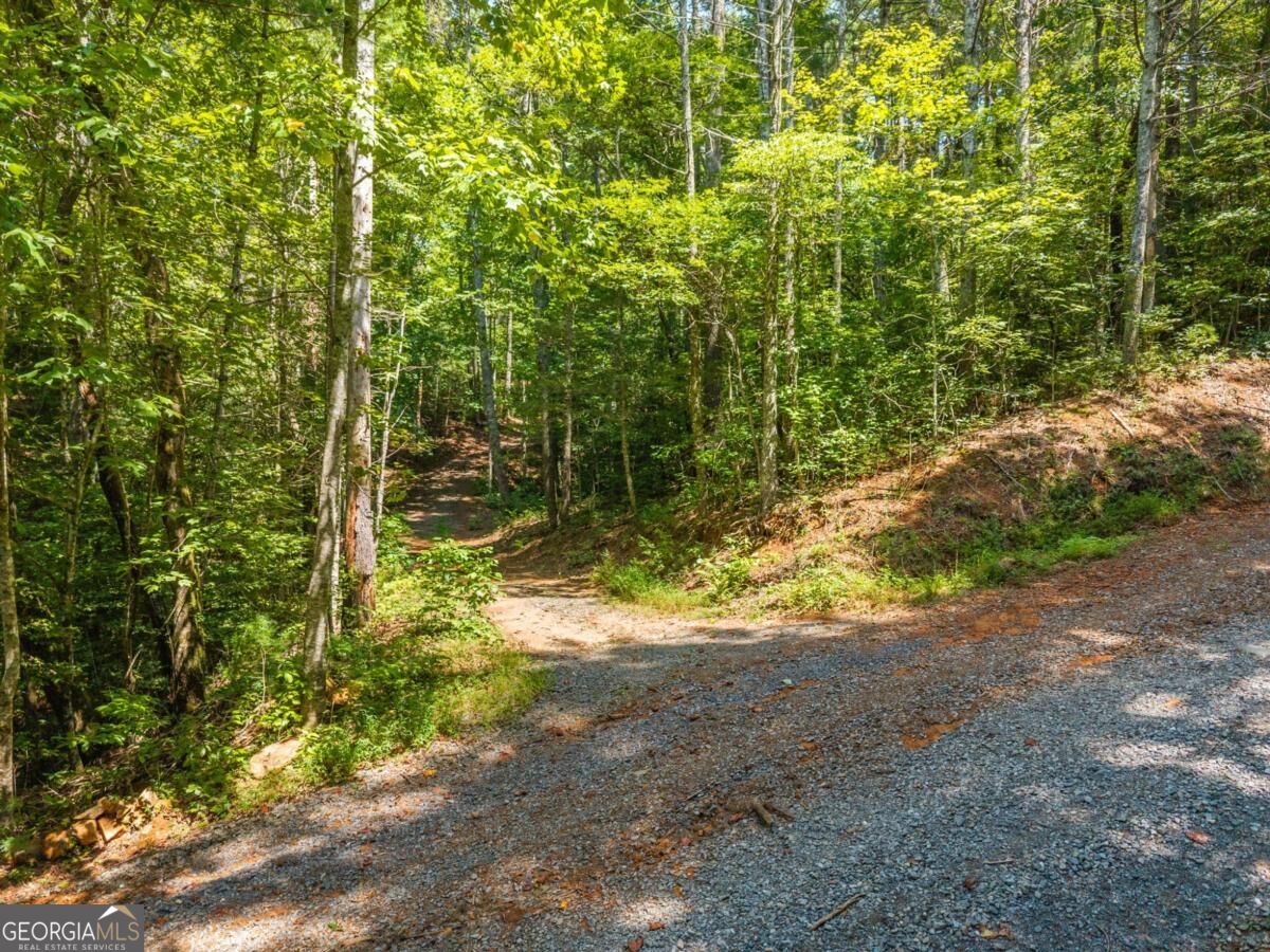 2 A Stevens Ridge Road Ellijay, GA 30540 - Photo 4 of 34 Gallery Image 4