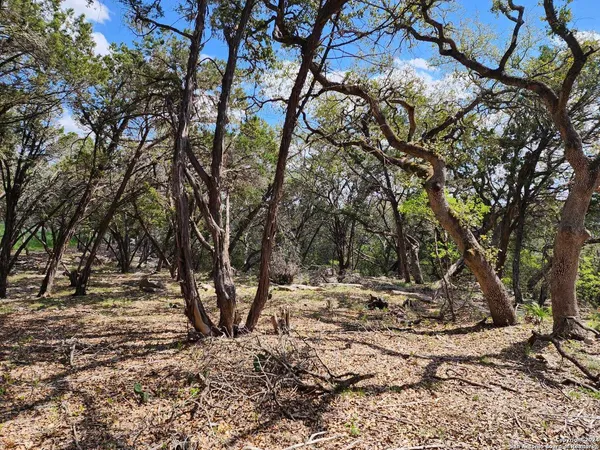 $170,000 | Lot 18-19 Forest Lake Drive, Spring Branch, TX 78070