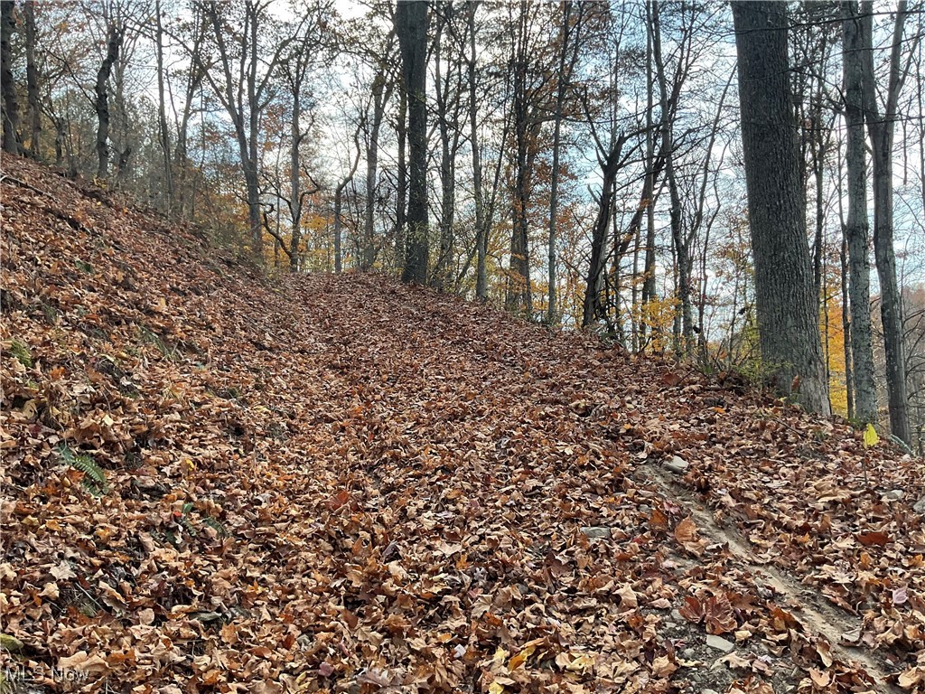 0 White Oak Road Walker, WV 26180 - Photo 14 of 39