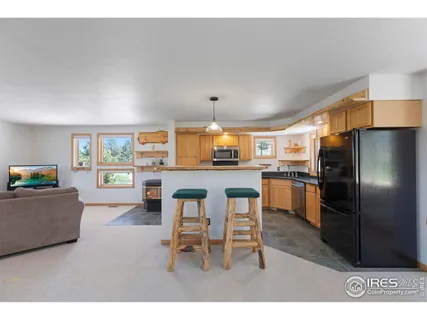 $610,000 | 636 Cucharas Mountain Drive, Livermore, CO 80536