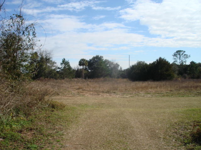 7666 Point Of Pines Road Edisto Island, SC 29438 - Photo 1 of 6 7666 Point of Pines (5)