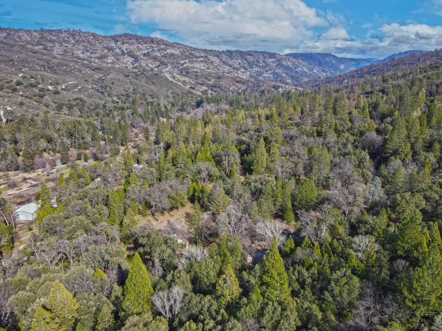 7277 Red Ant Road Somerset, CA 95684 - Photo 41 of 42 Gallery Image 41