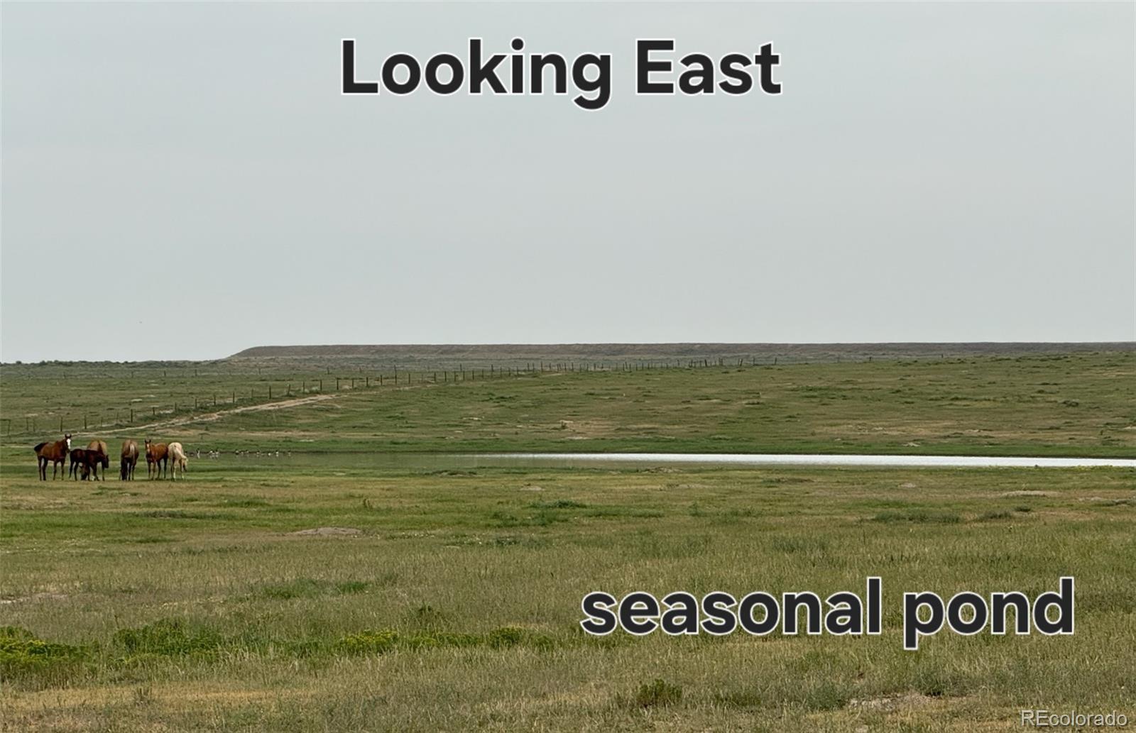 96 County Road Pierce, CO 80650 - Photo 1 of 5 a view of ocean view