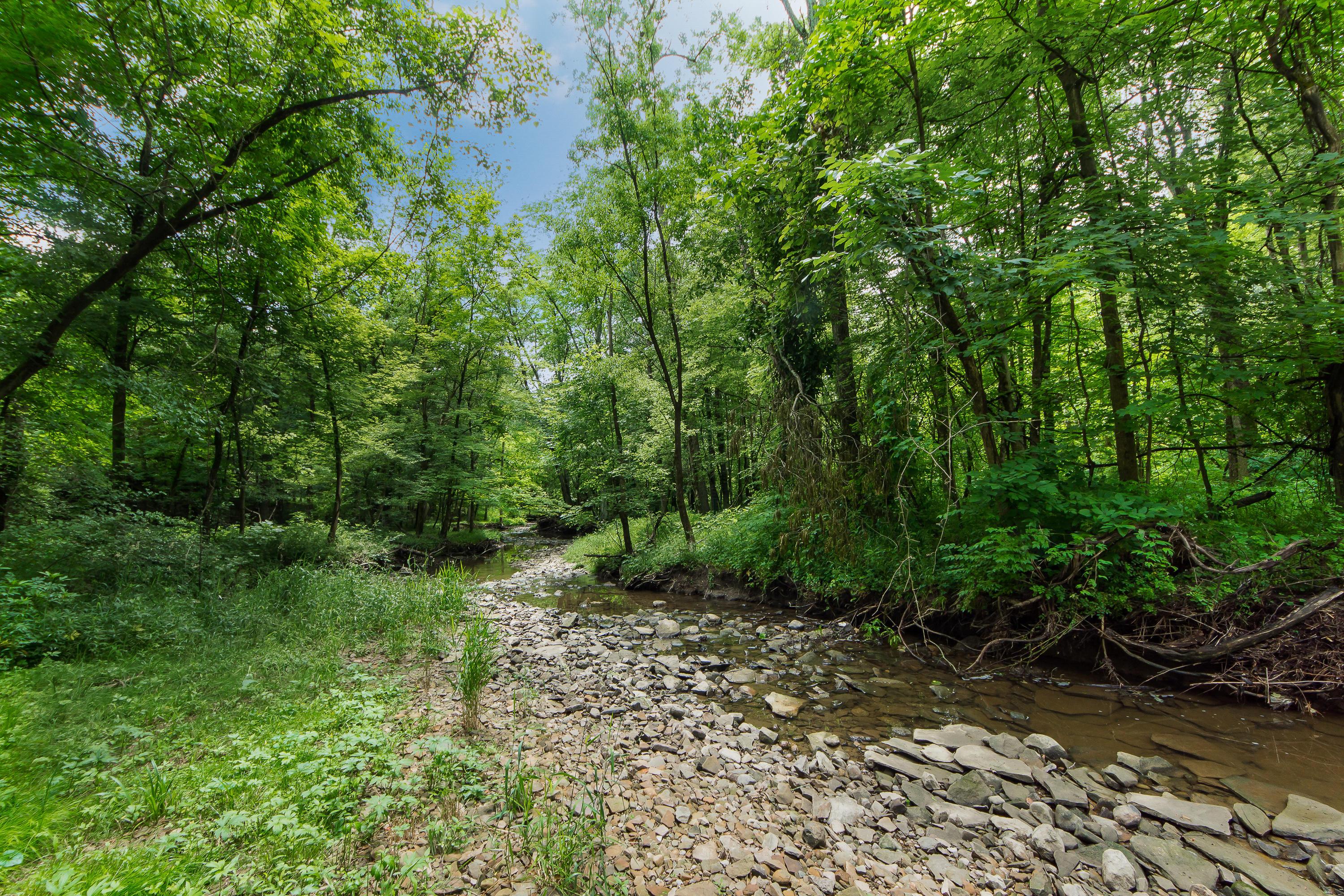 13813 Duncan Run Road Galena, OH 43021 - Photo 55 of 91 Gallery Image 55