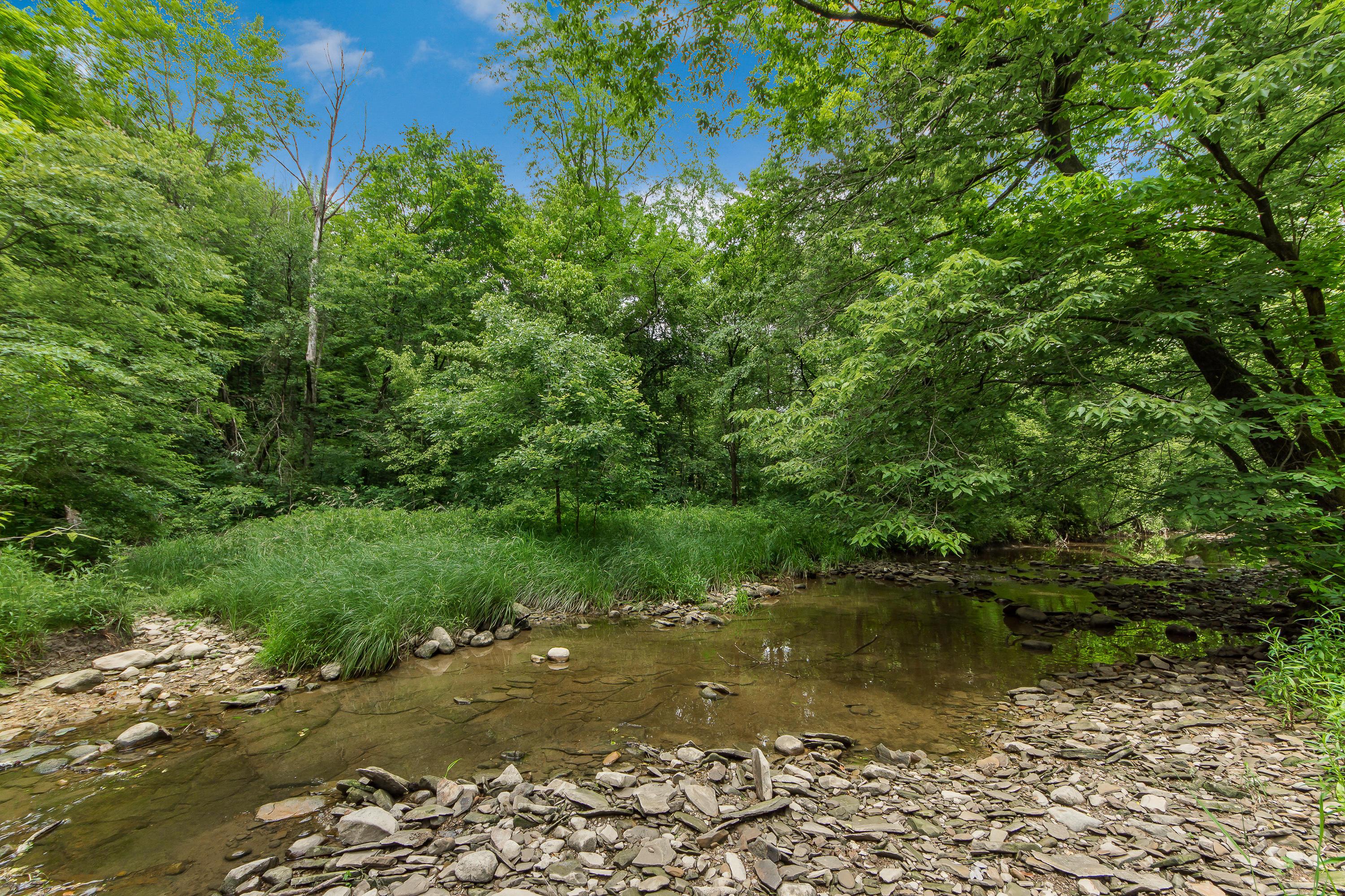 13813 Duncan Run Road Galena, OH 43021 - Photo 56 of 91 Gallery Image 56
