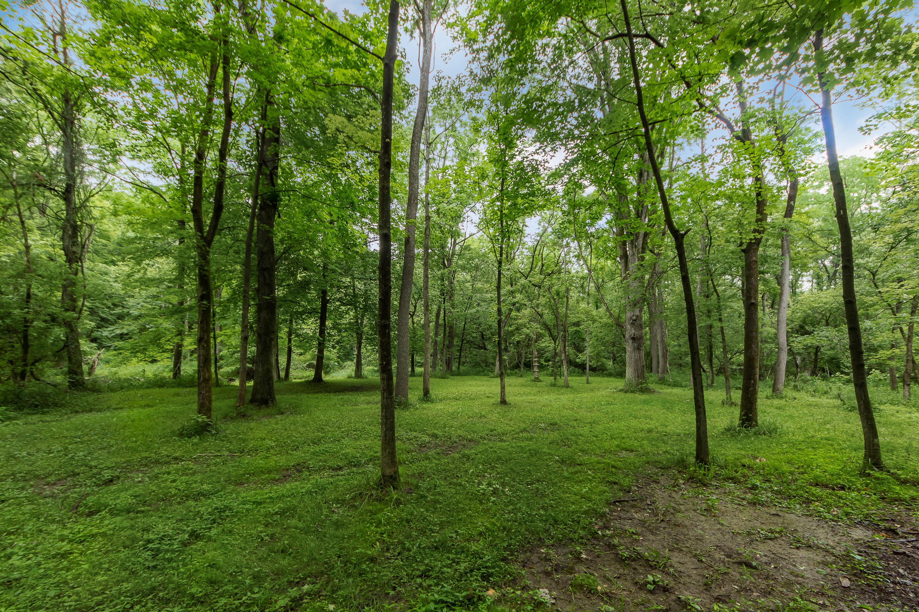 13813 Duncan Run Road Galena, OH 43021 - Photo 57 of 91 Gallery Image 57