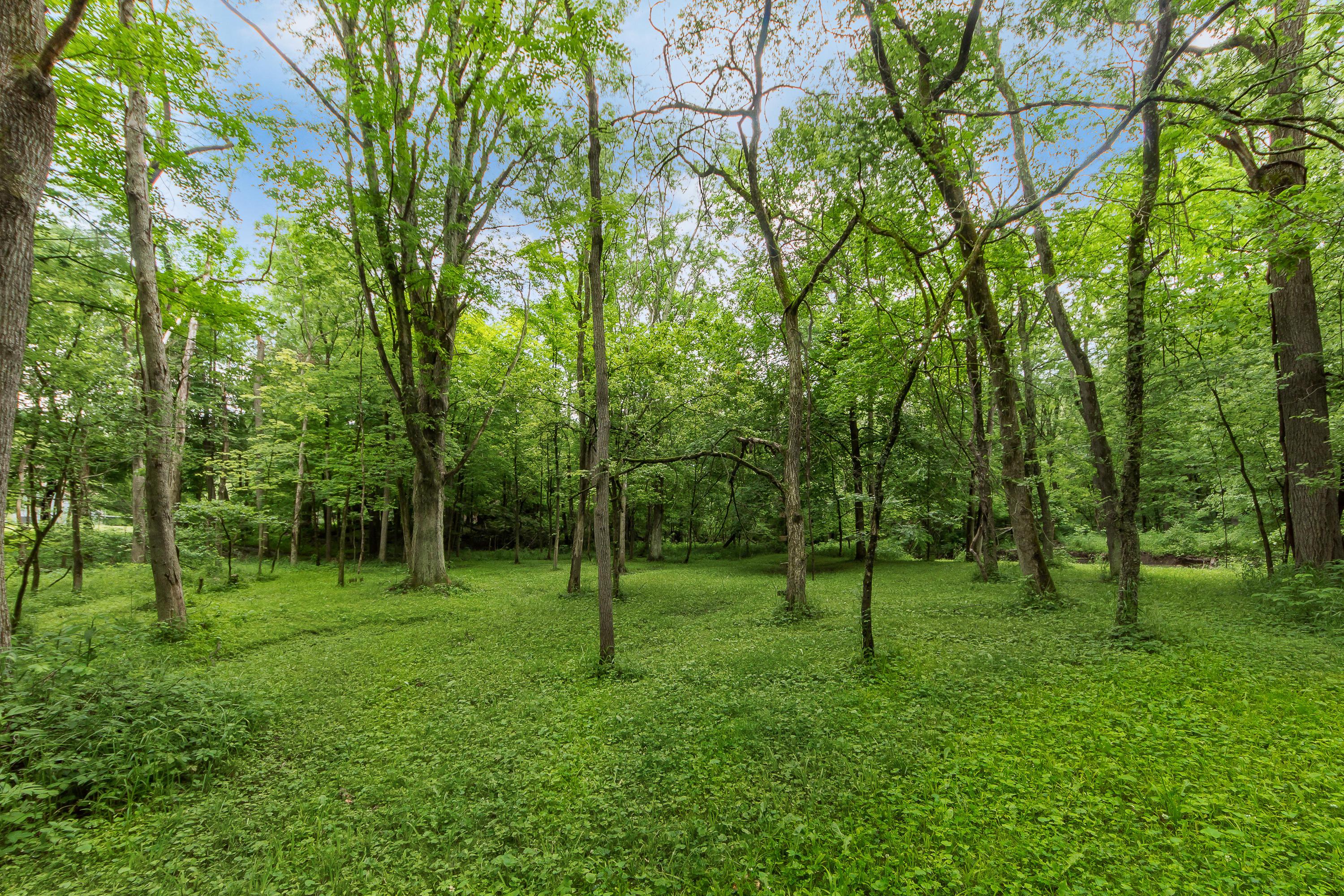 13813 Duncan Run Road Galena, OH 43021 - Photo 58 of 91 Gallery Image 58