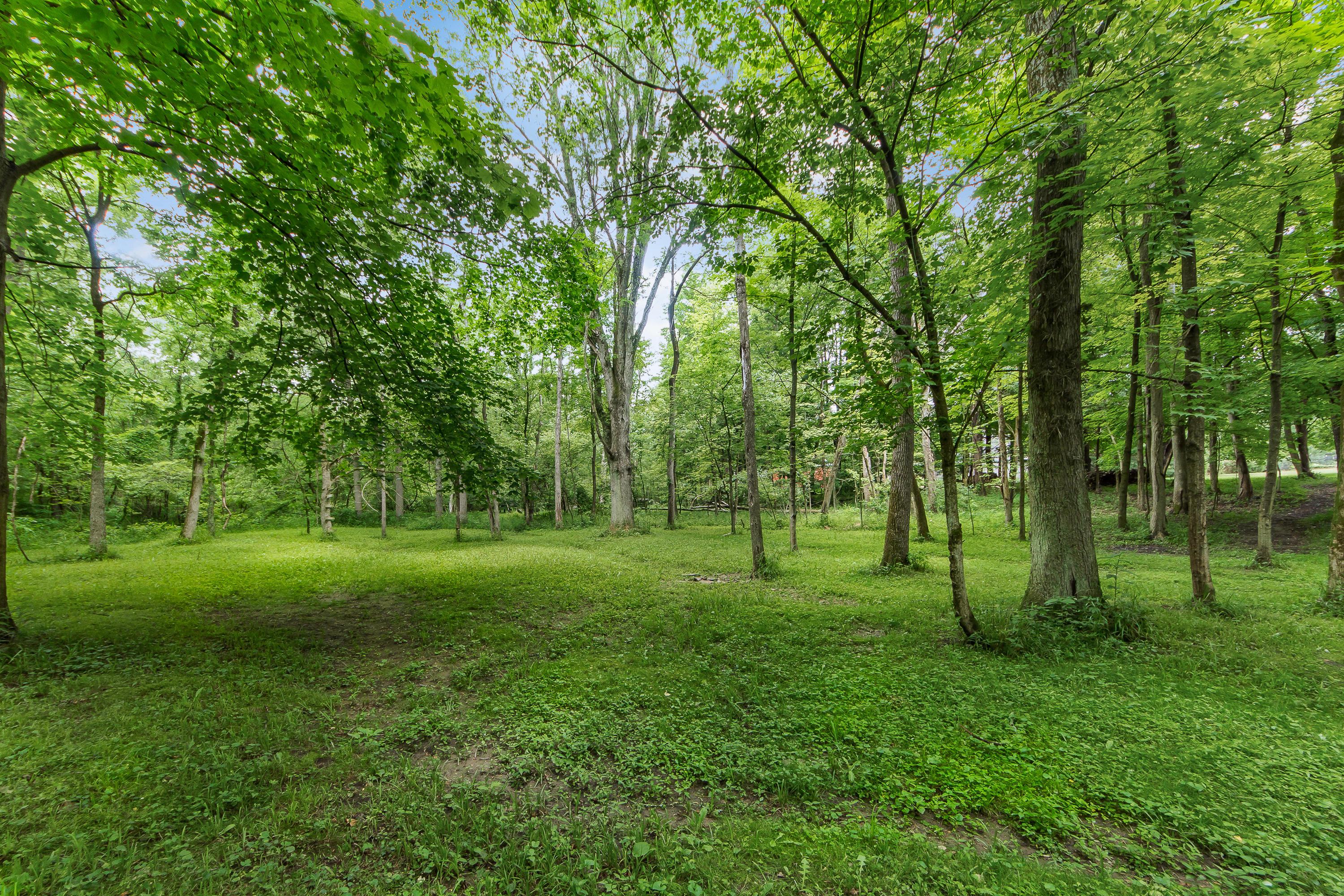 13813 Duncan Run Road Galena, OH 43021 - Photo 61 of 91 Gallery Image 61