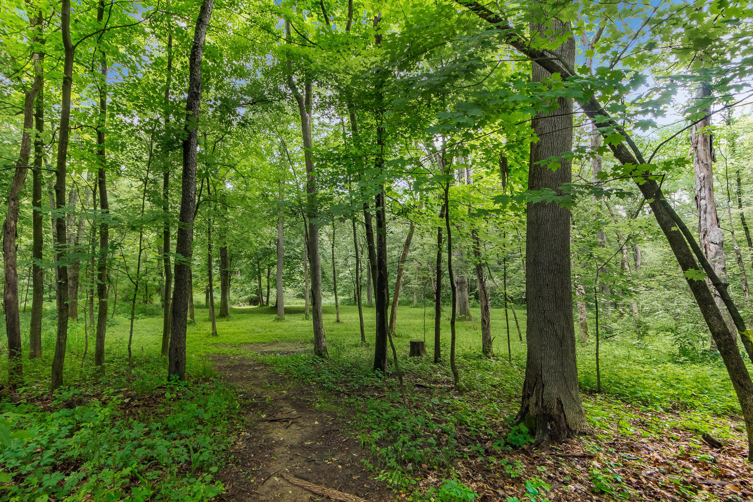 13813 Duncan Run Road Galena, OH 43021 - Photo 62 of 91 Gallery Image 62