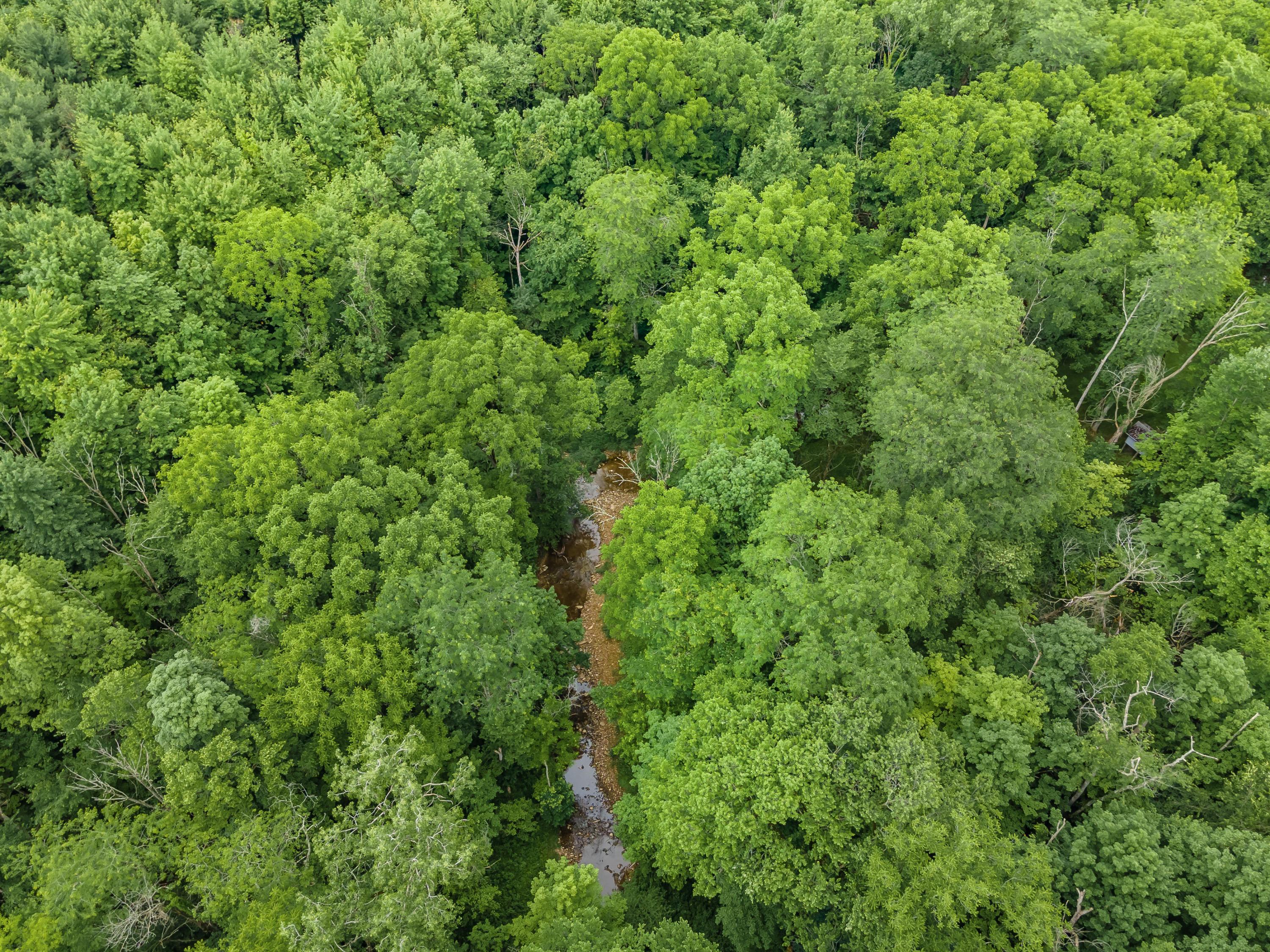 13813 Duncan Run Road Galena, OH 43021 - Photo 80 of 91 Gallery Image 80