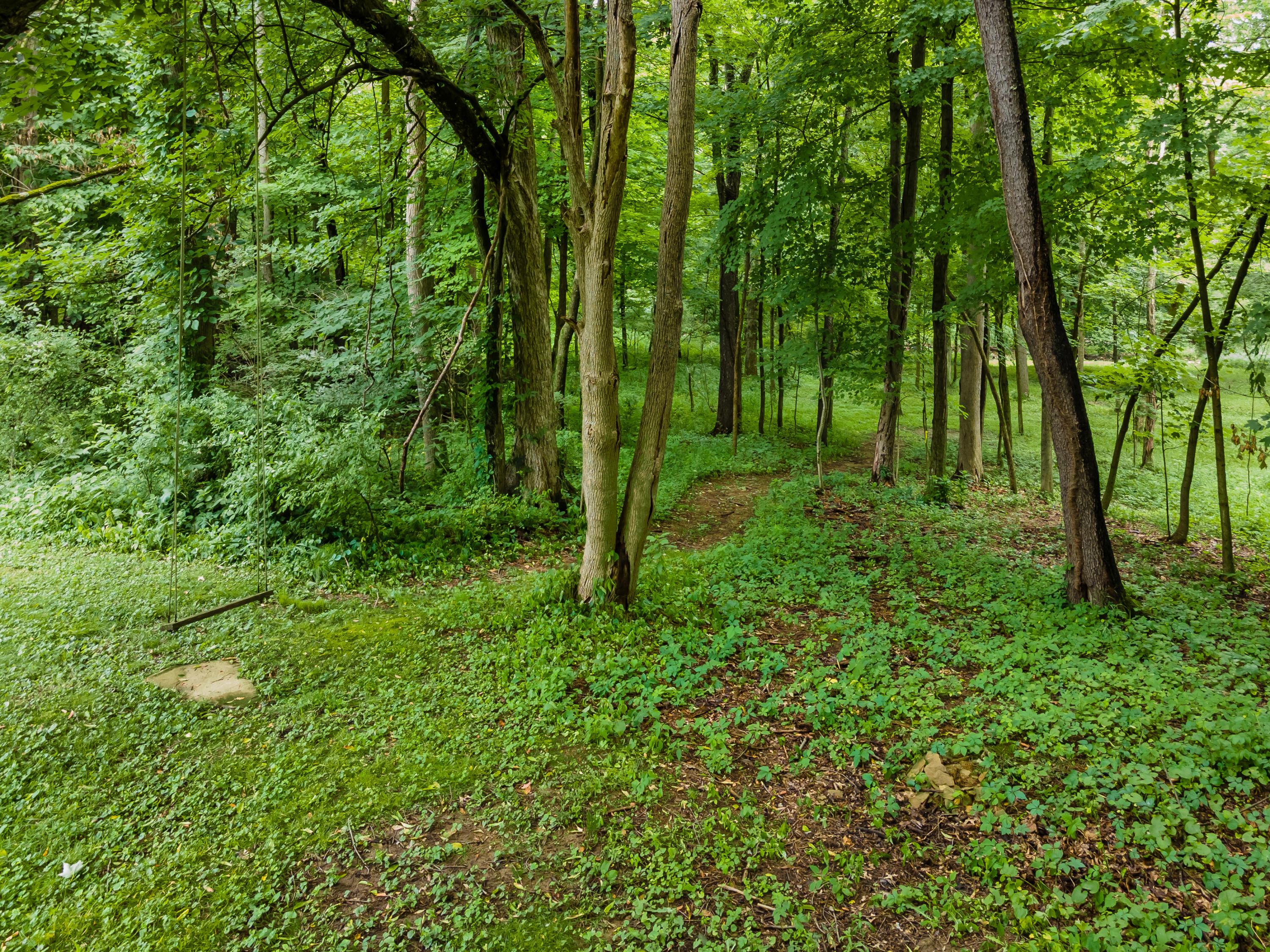 13813 Duncan Run Road Galena, OH 43021 - Photo 83 of 91 Gallery Image 83