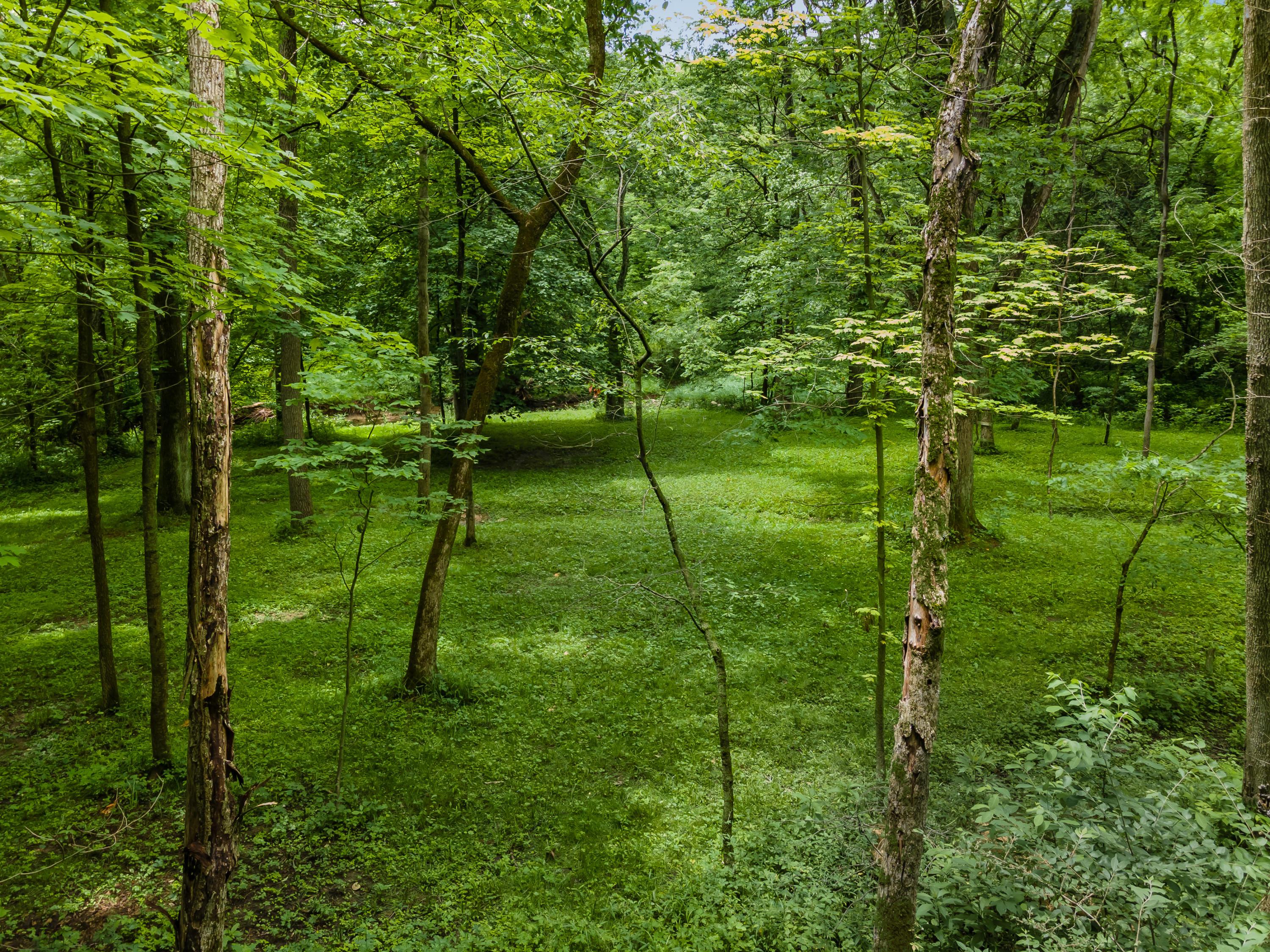 13813 Duncan Run Road Galena, OH 43021 - Photo 84 of 91 Gallery Image 84