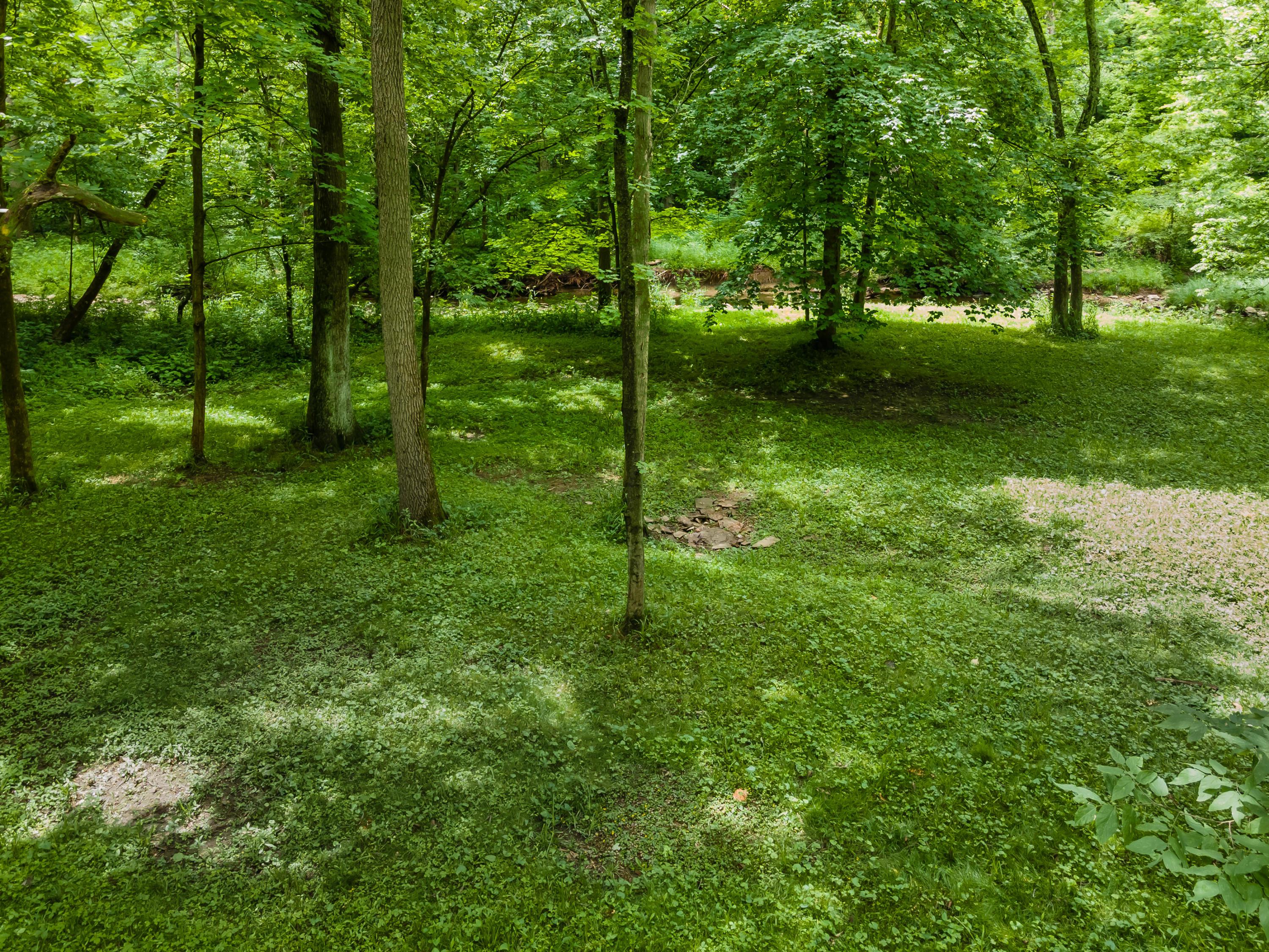 13813 Duncan Run Road Galena, OH 43021 - Photo 85 of 91 Gallery Image 85