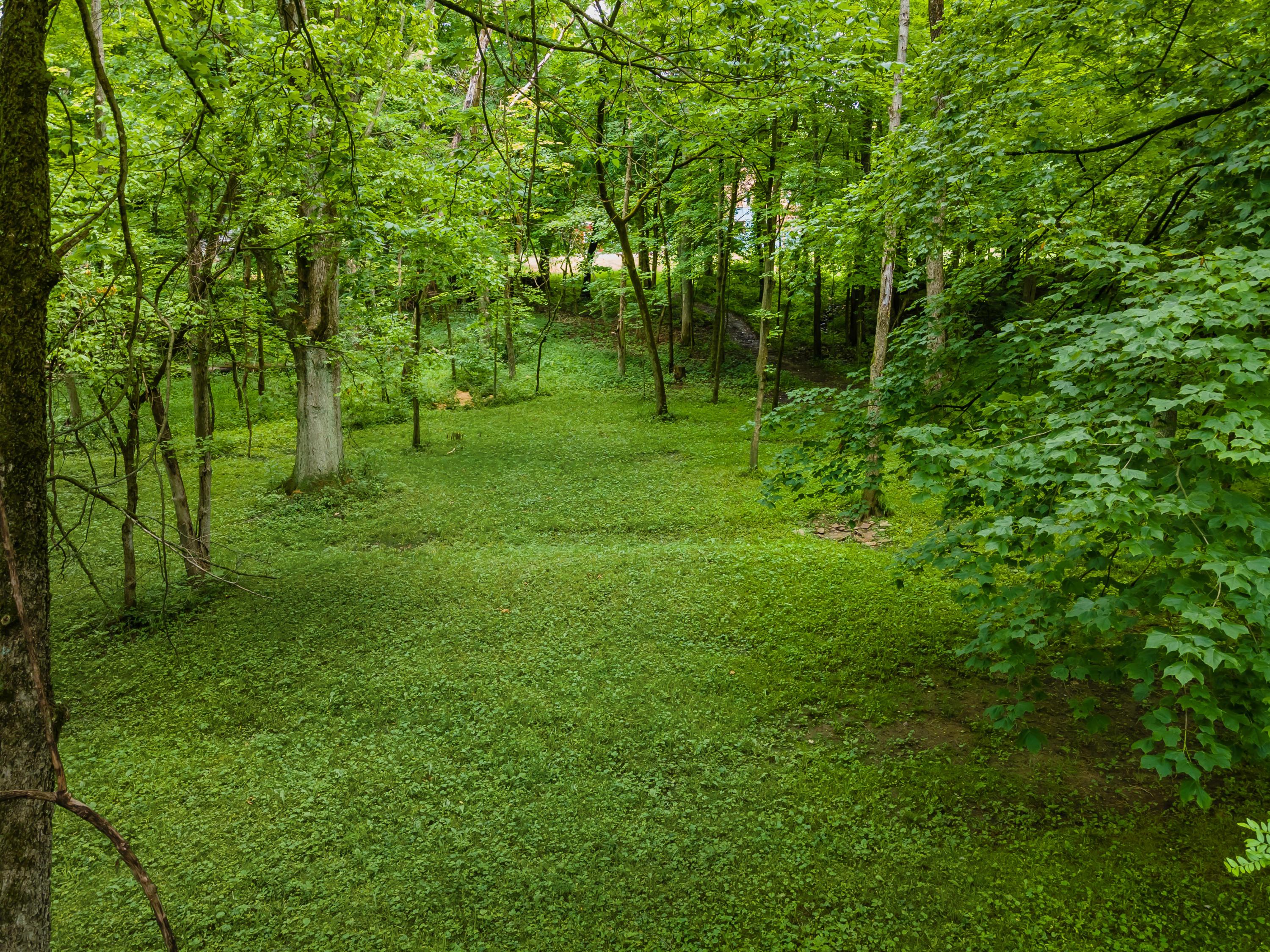 13813 Duncan Run Road Galena, OH 43021 - Photo 86 of 91 Gallery Image 86