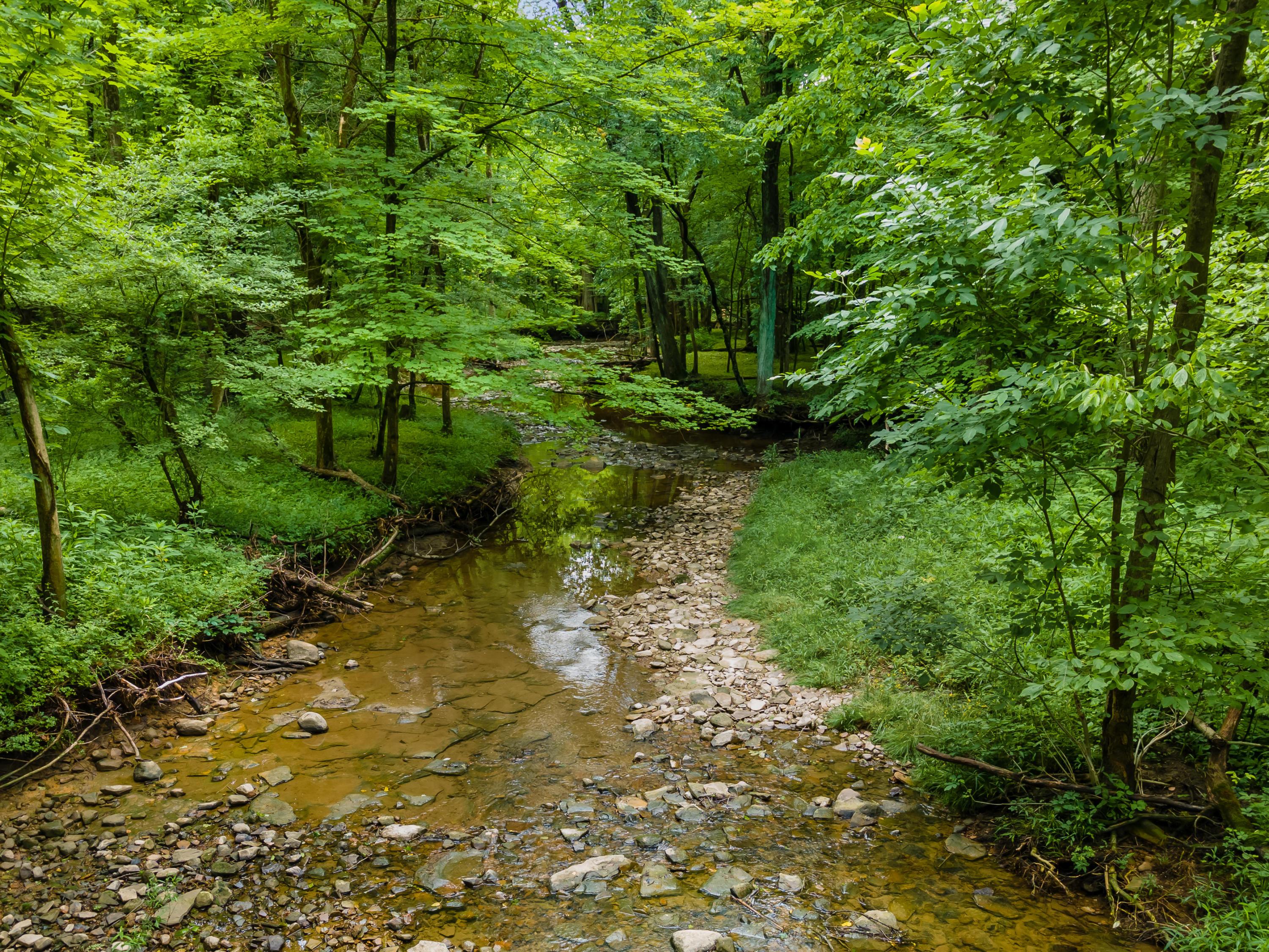 13813 Duncan Run Road Galena, OH 43021 - Photo 90 of 91 Gallery Image 90