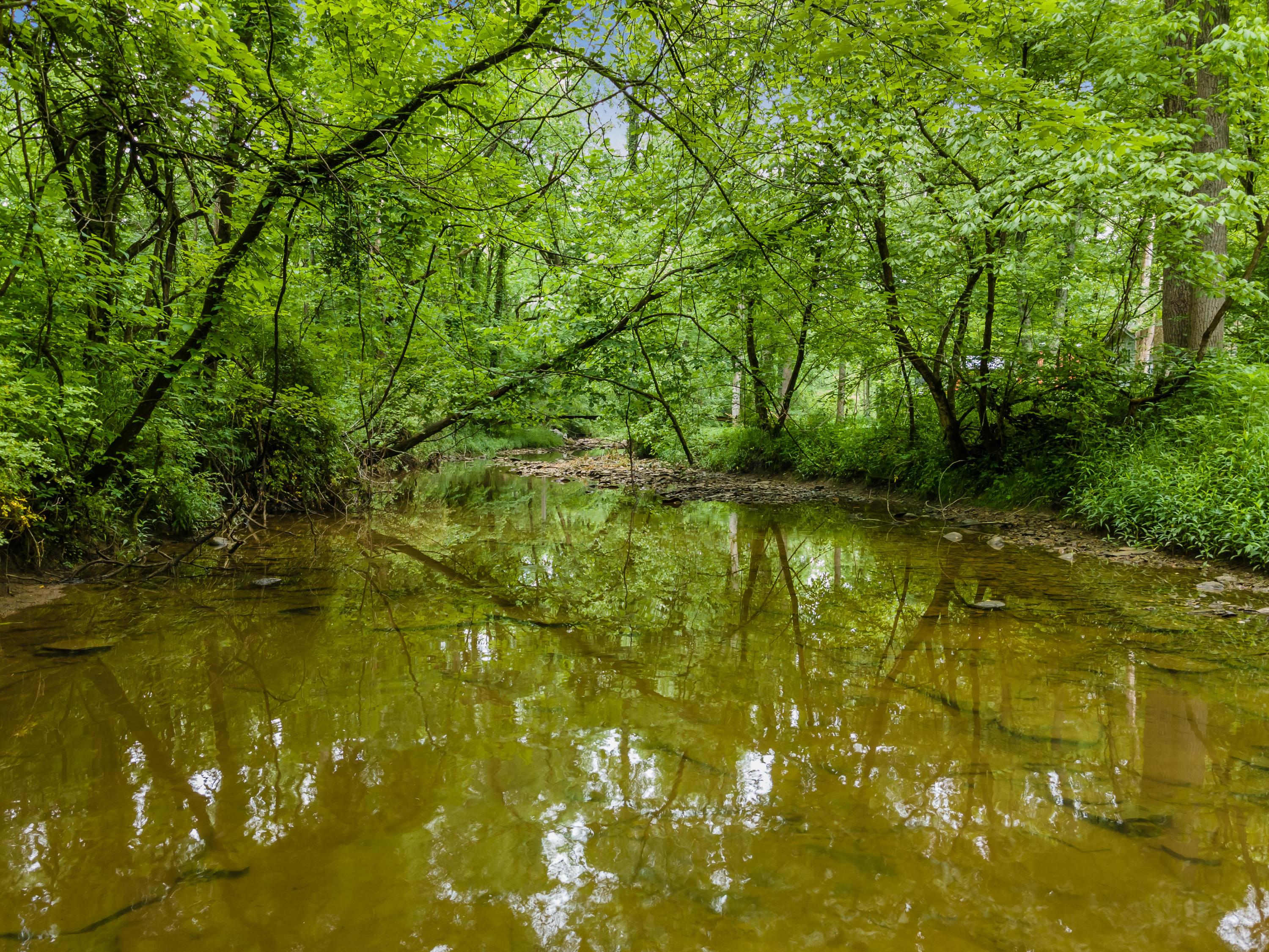 13813 Duncan Run Road Galena, OH 43021 - Photo 91 of 91 Gallery Image 91