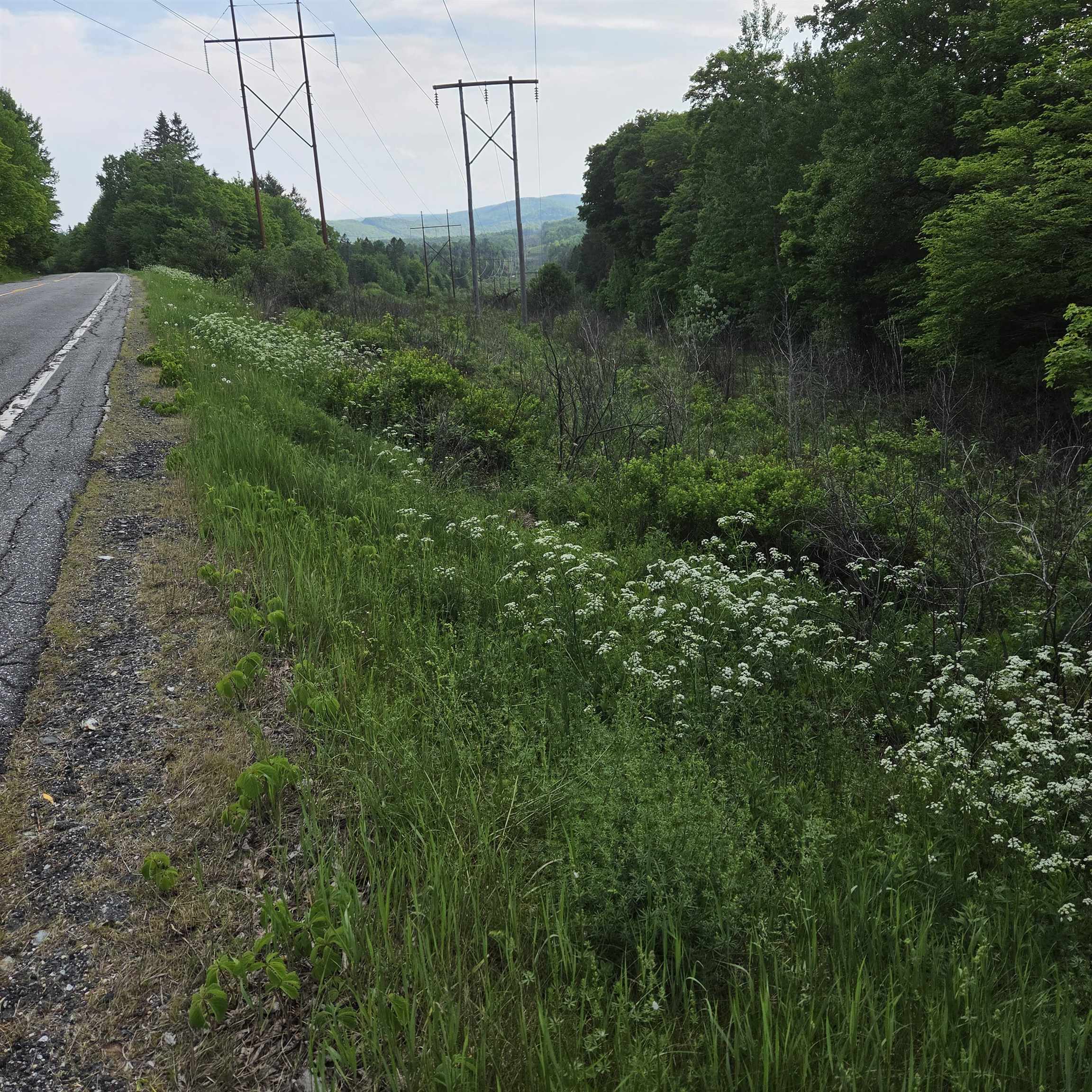 302 Us Route Topsham, VT 05076 - Photo 4 of 21