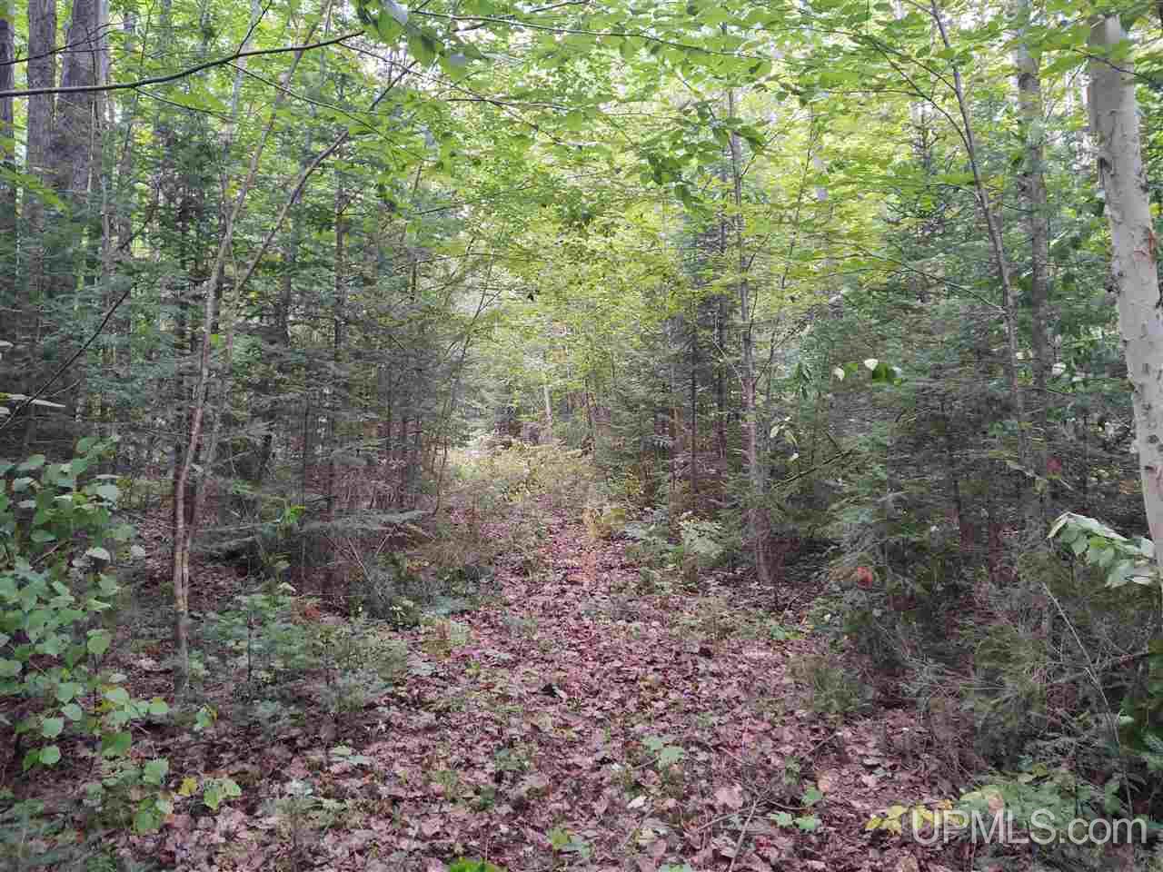 Tbd Moscow Road Chassell, MI 49916 - Photo 2 of 22 Gallery Image 2