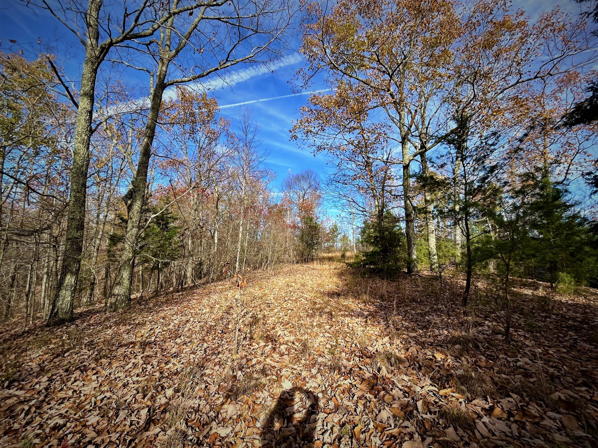 1017 Linden Farm Road Linden, TN 37096 - Photo 13 of 69 Gallery Image 13