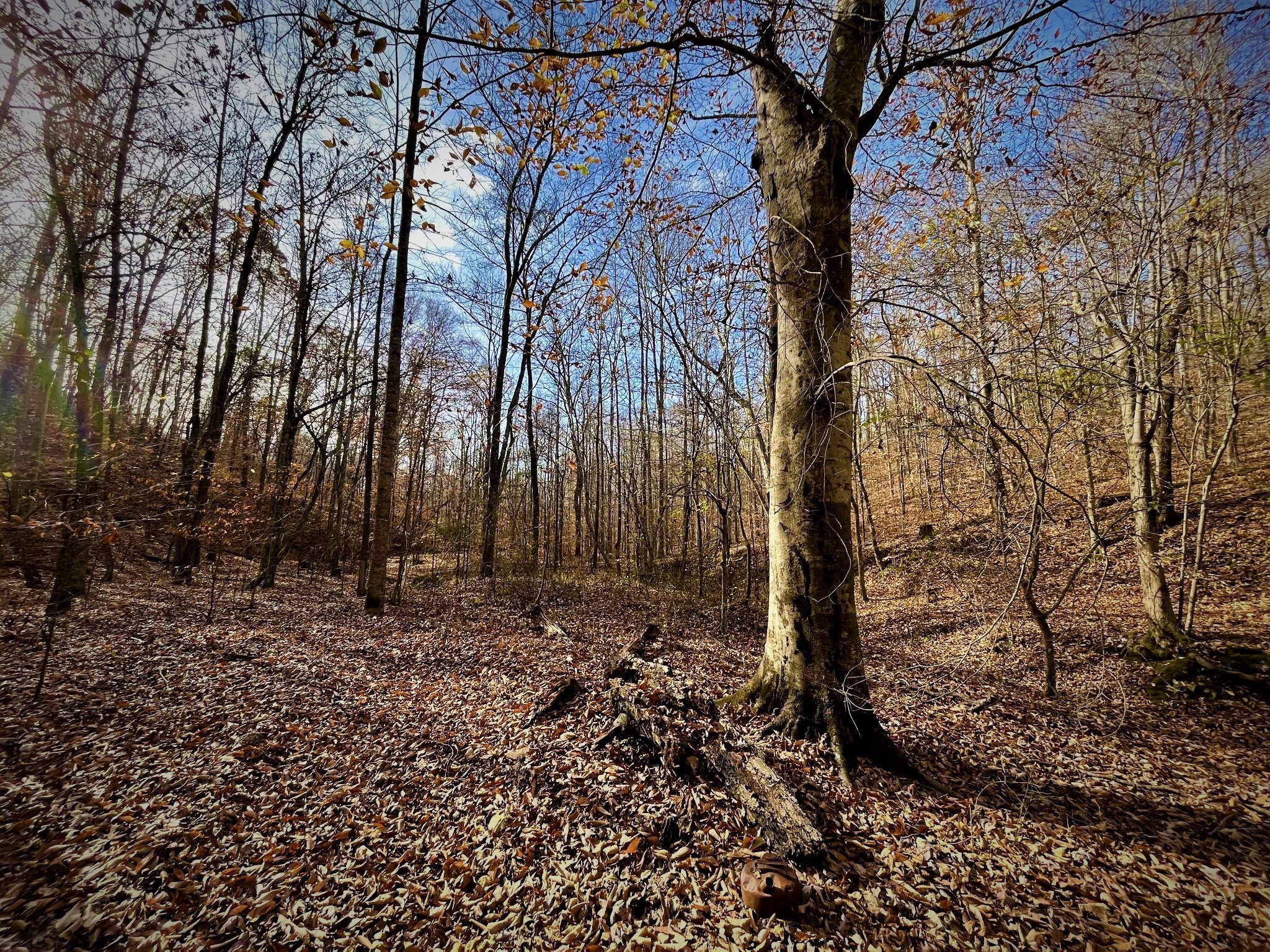 1017 Linden Farm Road Linden, TN 37096 - Photo 17 of 69 Gallery Image 17