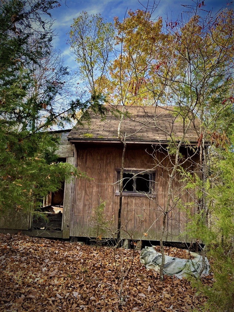 1017 Linden Farm Road Linden, TN 37096 - Photo 19 of 69 Gallery Image 19