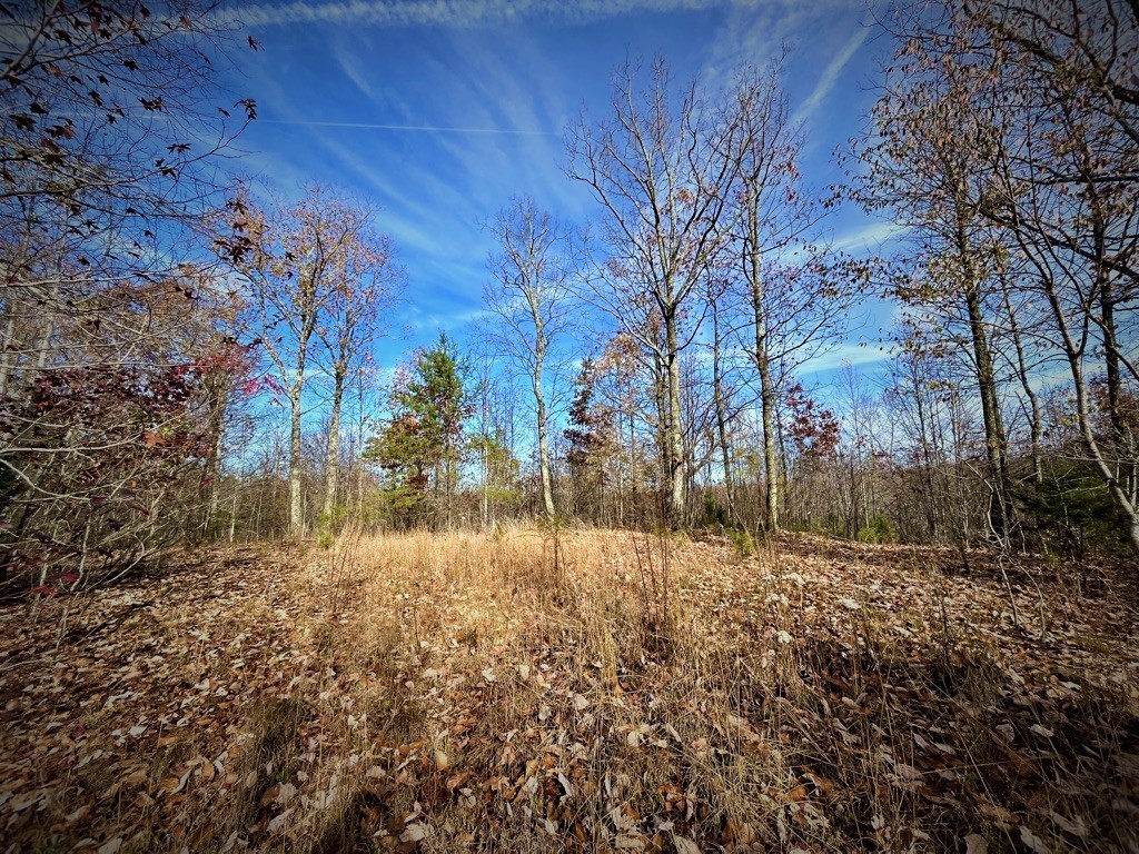 1017 Linden Farm Road Linden, TN 37096 - Photo 24 of 69 Gallery Image 24