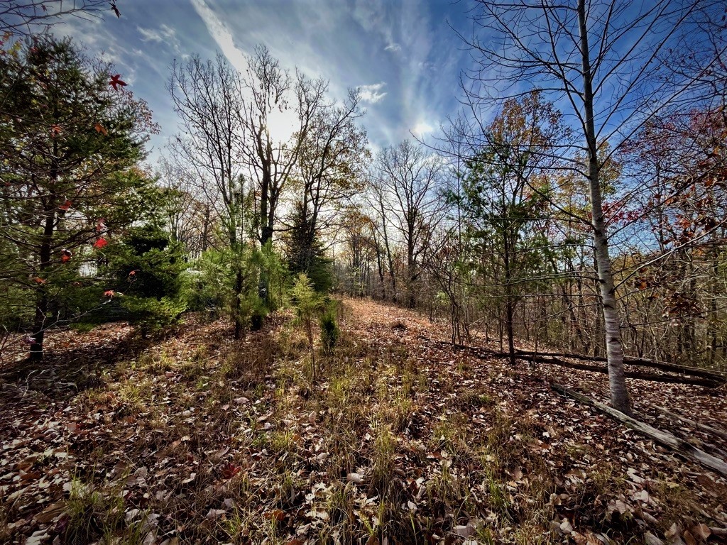1017 Linden Farm Road Linden, TN 37096 - Photo 27 of 69 Gallery Image 27