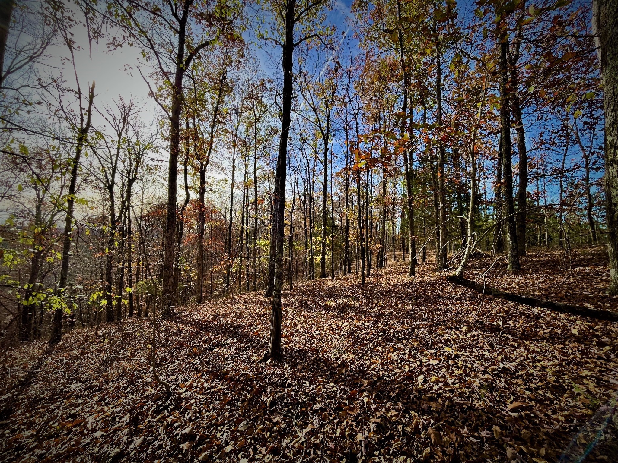 1017 Linden Farm Road Linden, TN 37096 - Photo 28 of 69 Gallery Image 28