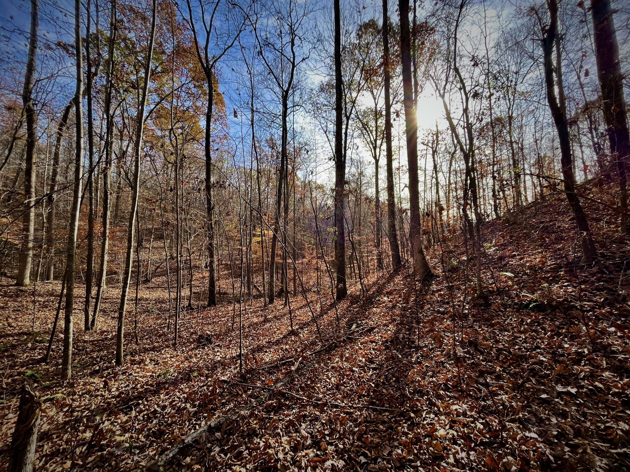1017 Linden Farm Road Linden, TN 37096 - Photo 29 of 69 Gallery Image 29