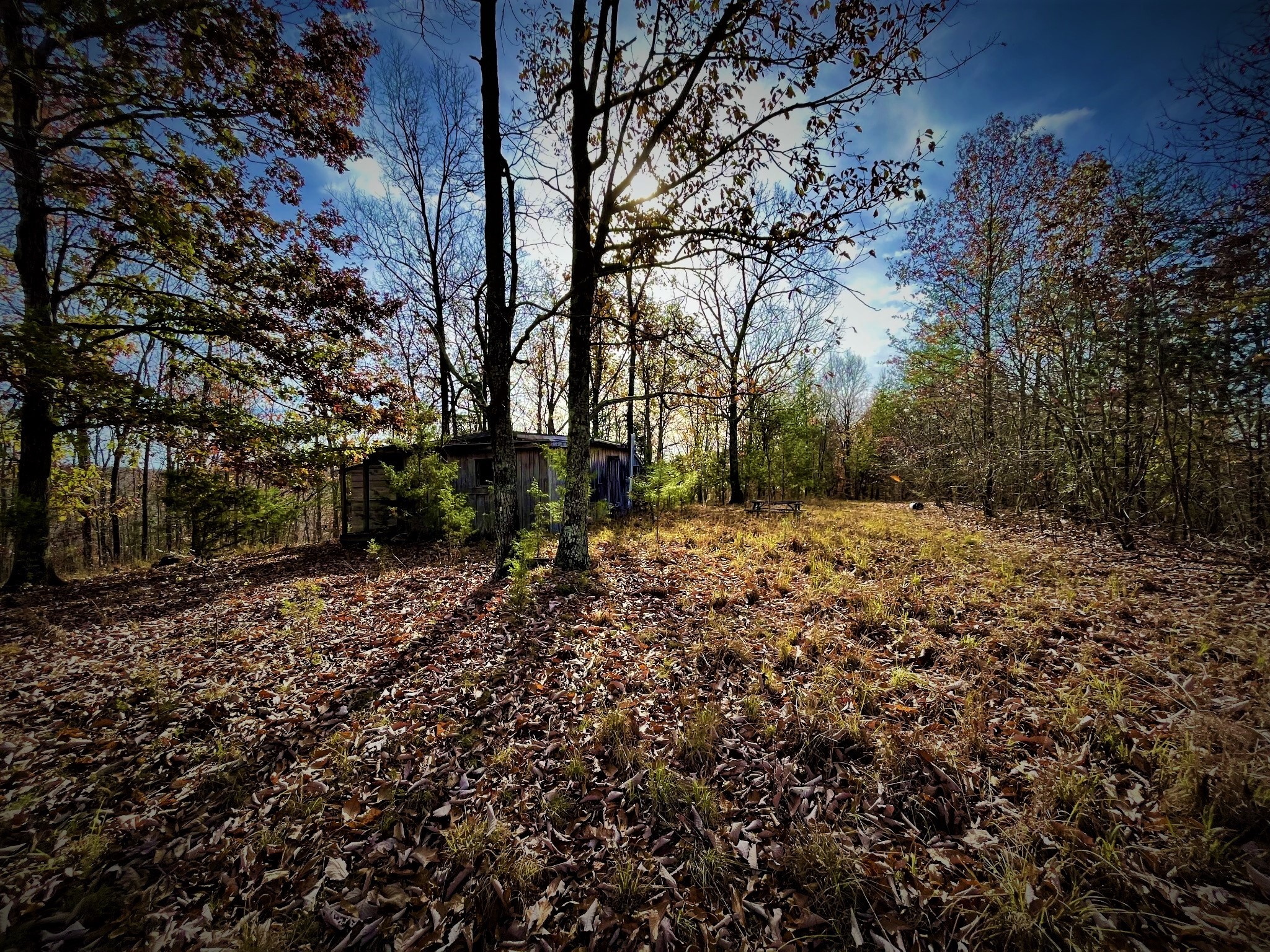 1017 Linden Farm Road Linden, TN 37096 - Photo 3 of 69 Gallery Image 3