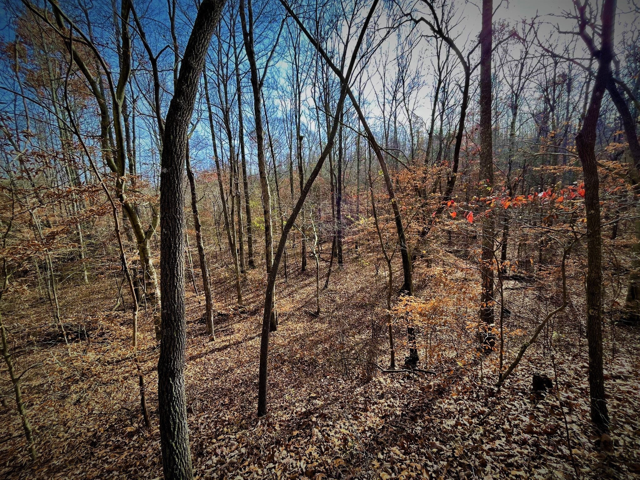 1017 Linden Farm Road Linden, TN 37096 - Photo 32 of 69 Gallery Image 32