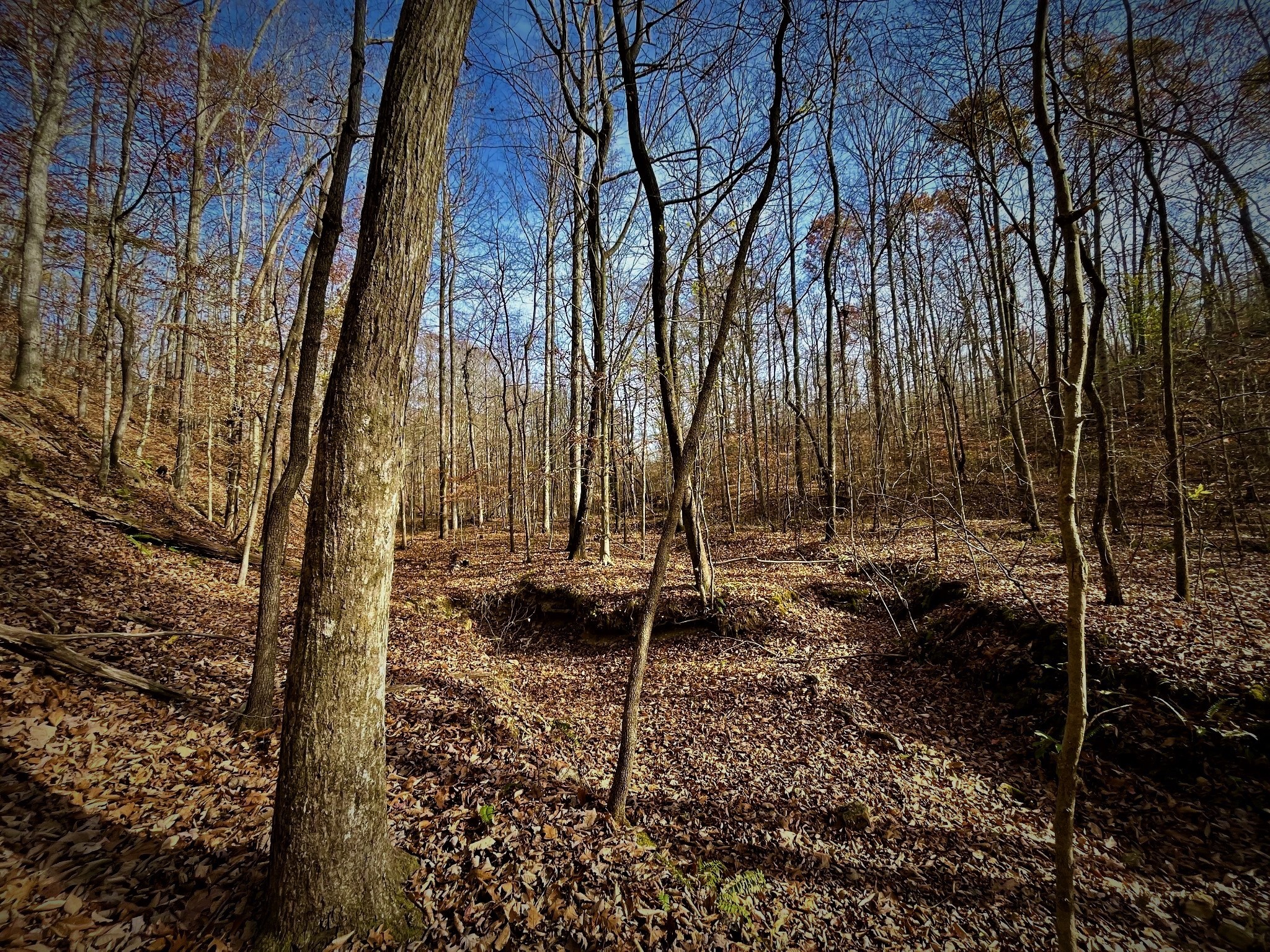 1017 Linden Farm Road Linden, TN 37096 - Photo 33 of 69 Gallery Image 33