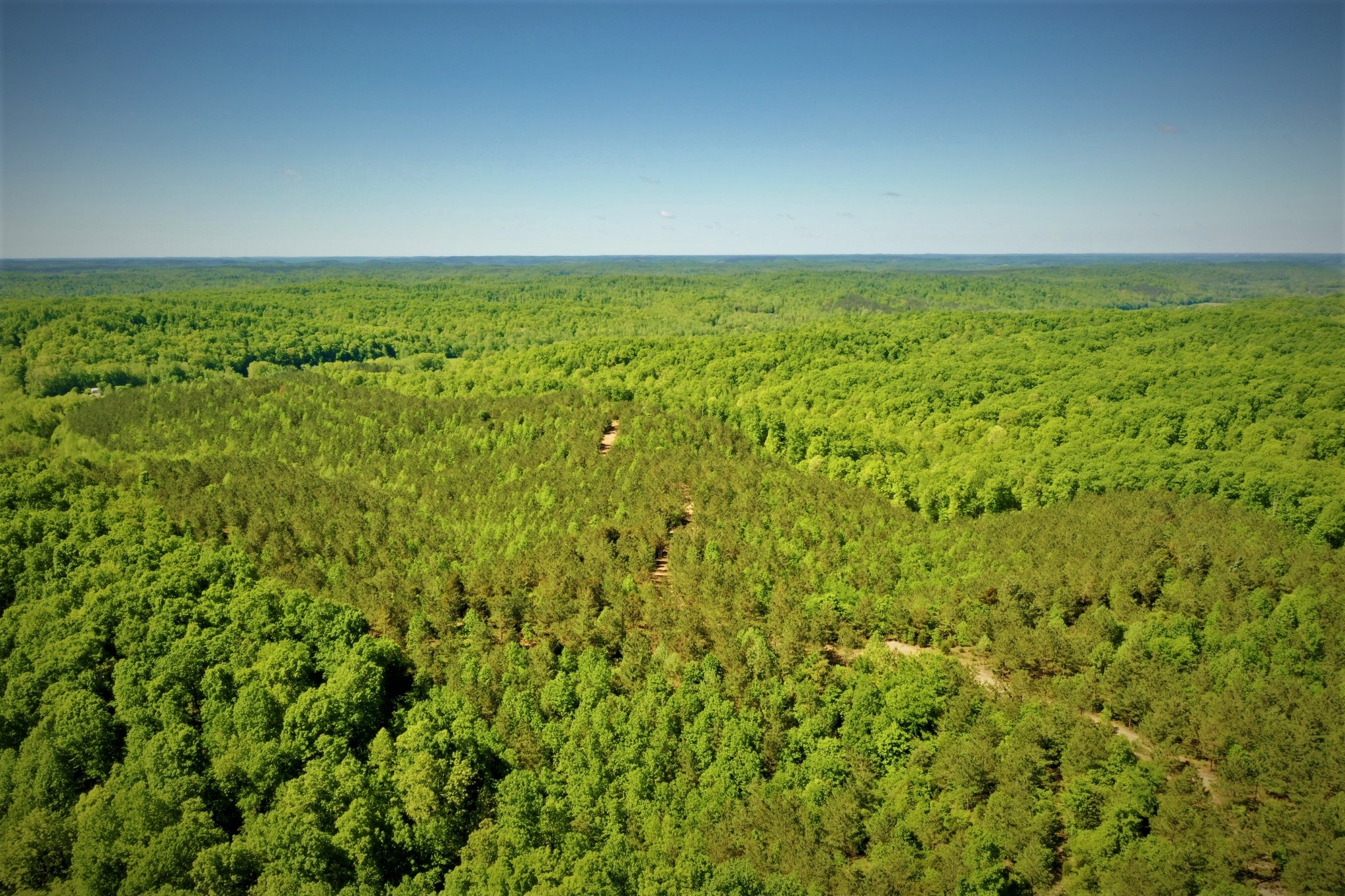 1017 Linden Farm Road Linden, TN 37096 - Photo 4 of 69 Gallery Image 4