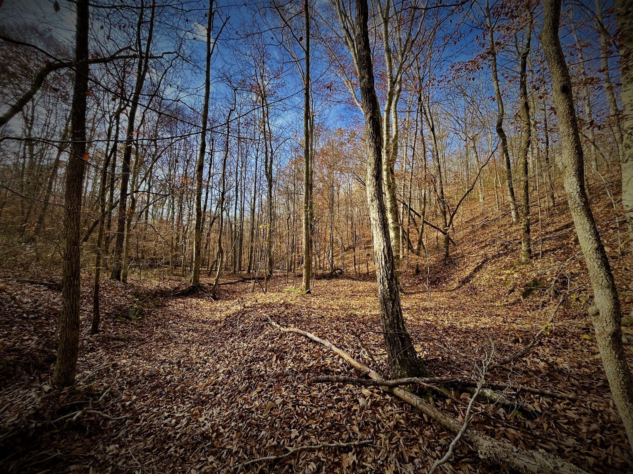 1017 Linden Farm Road Linden, TN 37096 - Photo 41 of 69 Gallery Image 41