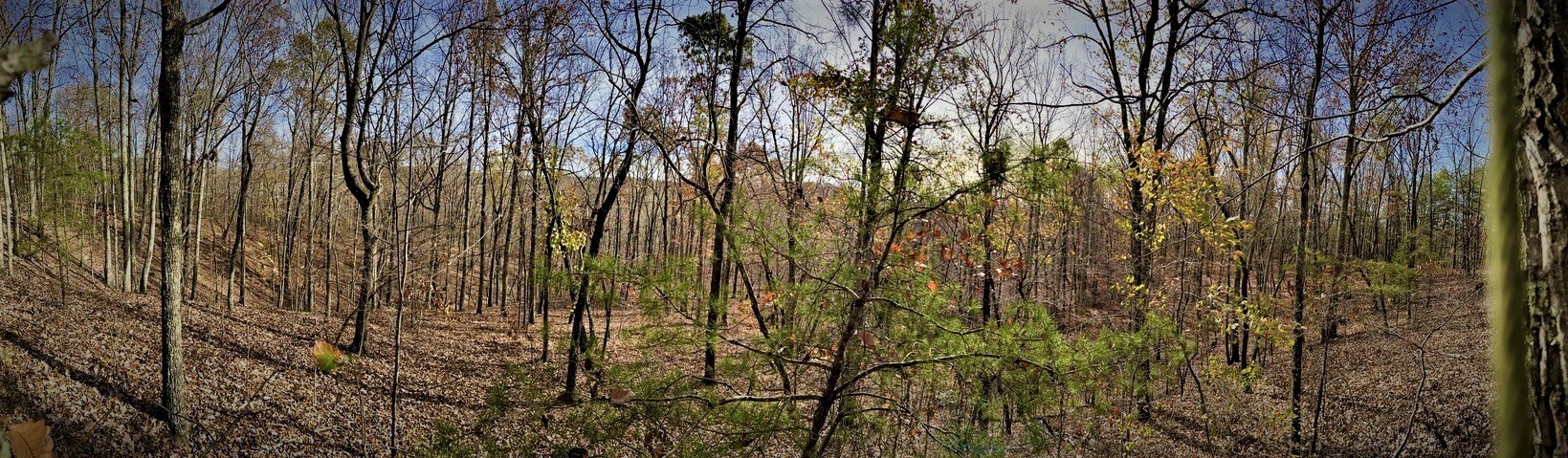 1017 Linden Farm Road Linden, TN 37096 - Photo 42 of 69 Gallery Image 42